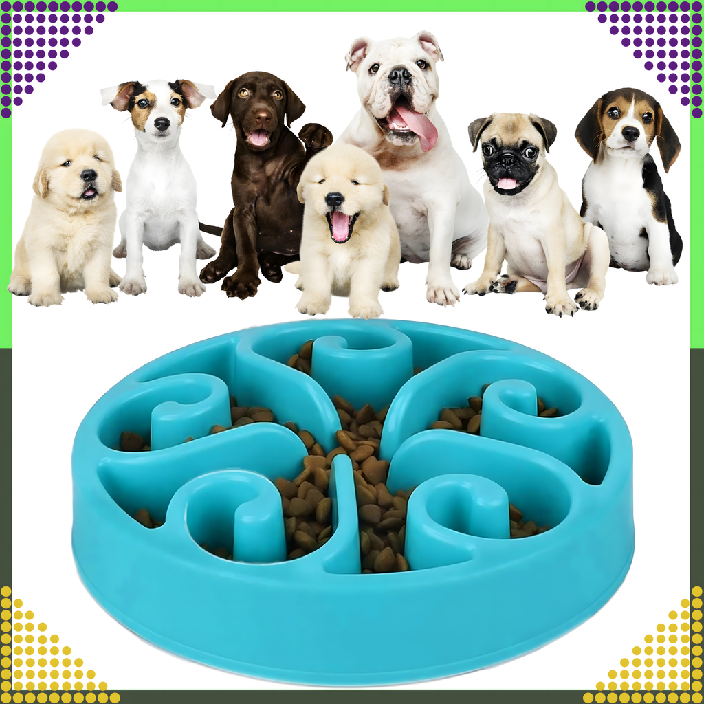 Toidu aeglustav kauss koerale, kassile ja teistele loomadele, suur, vaheseintega