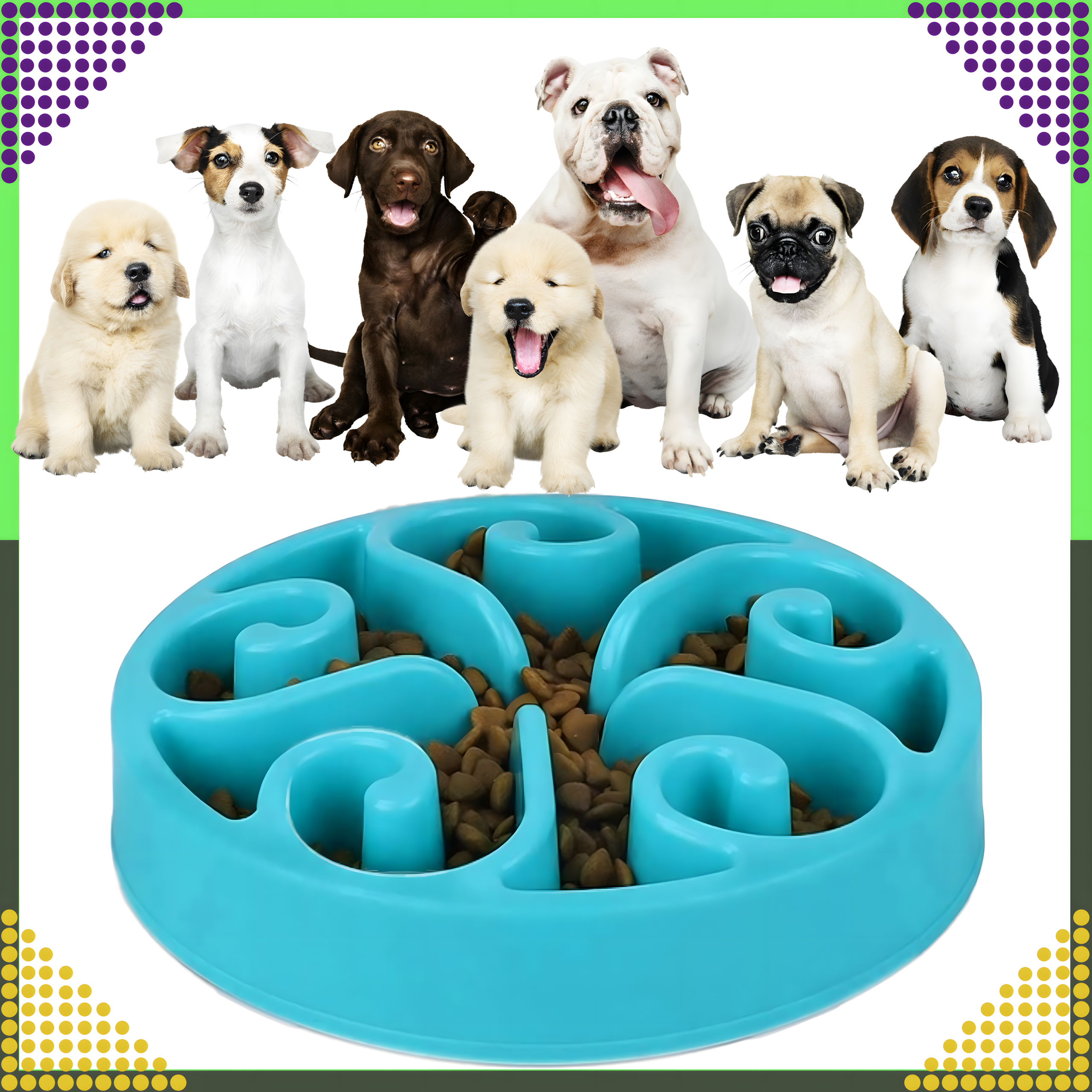 Toidu aeglustav kauss koerale, kassile ja teistele loomadele, suur, vaheseintega