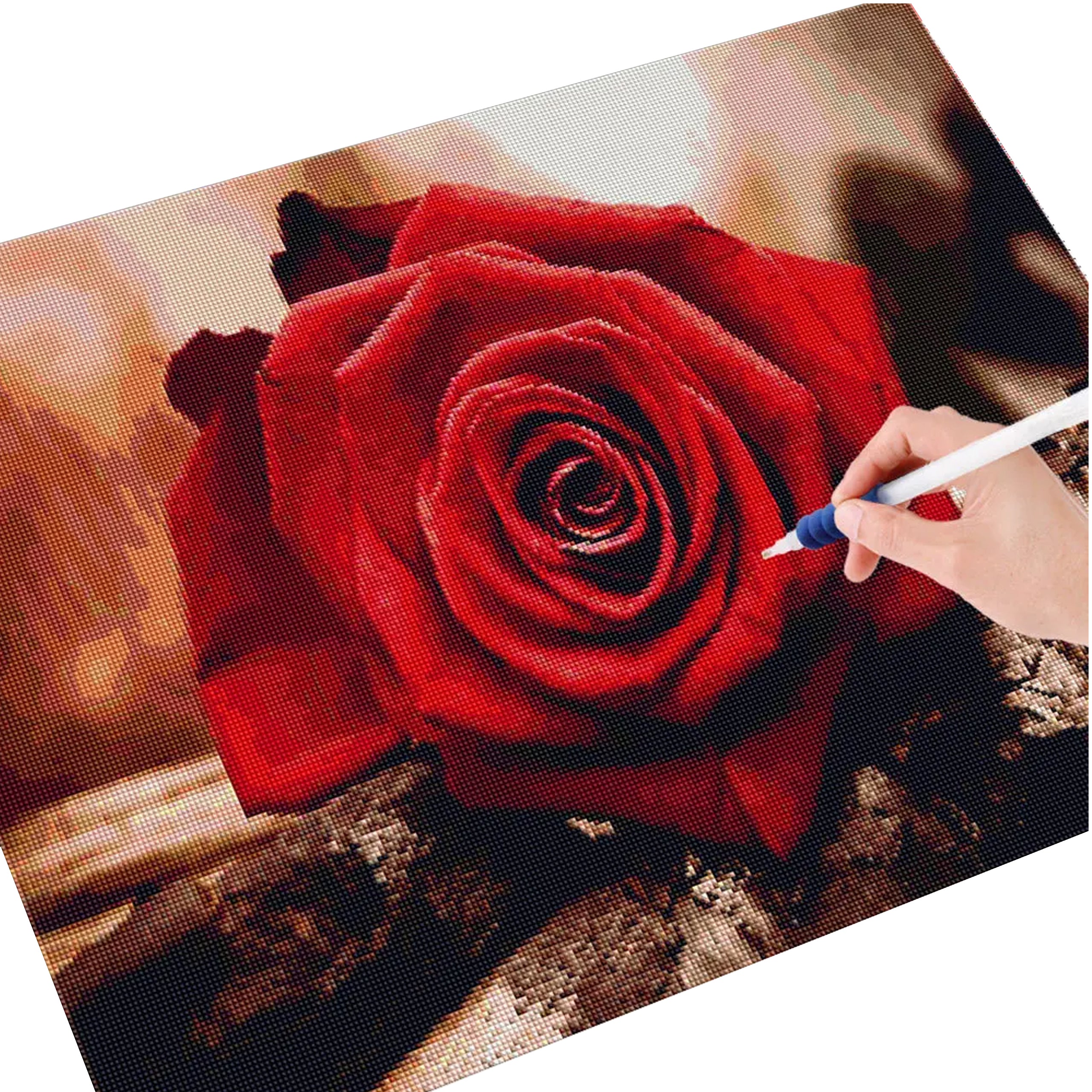 Diamond Painting 5D Mosaic Set with Canvas and Frame 20x30 cm
