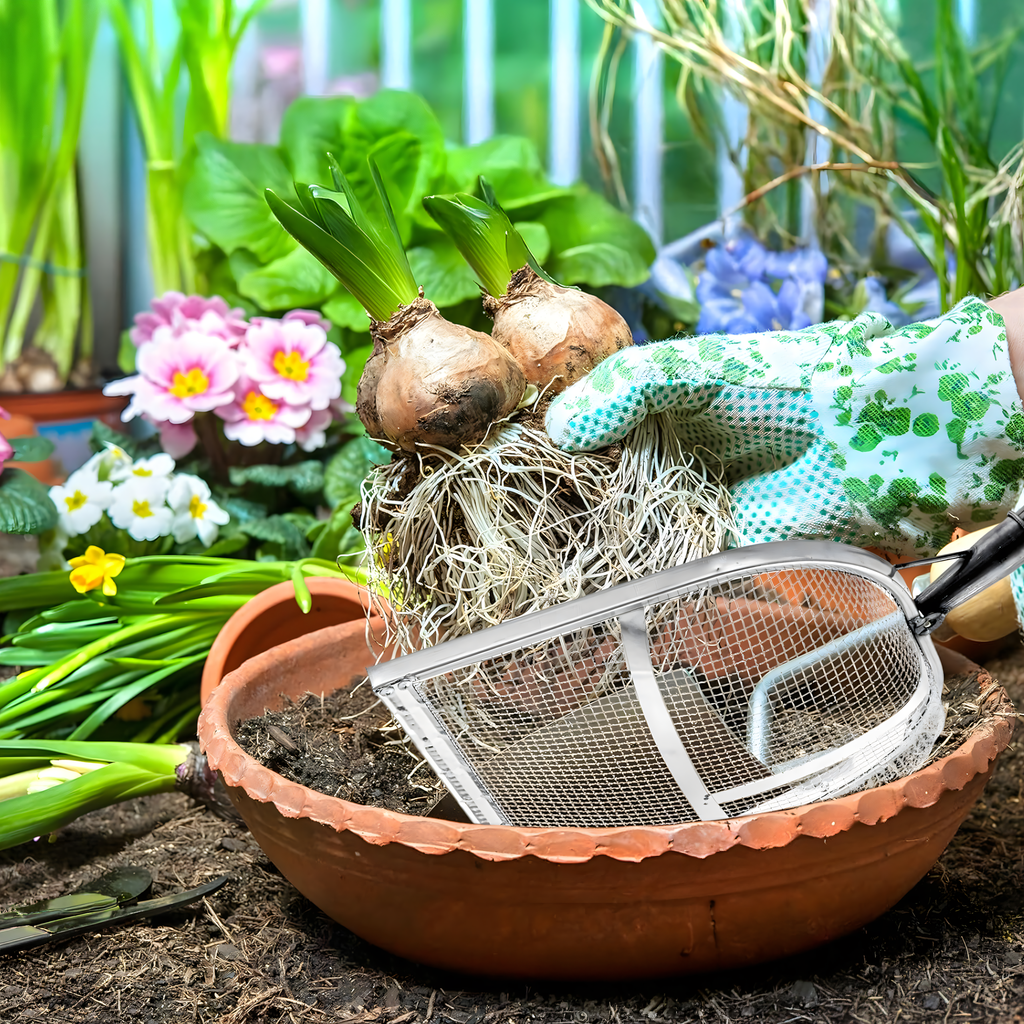 Aia labidas mulla sõelumissõel