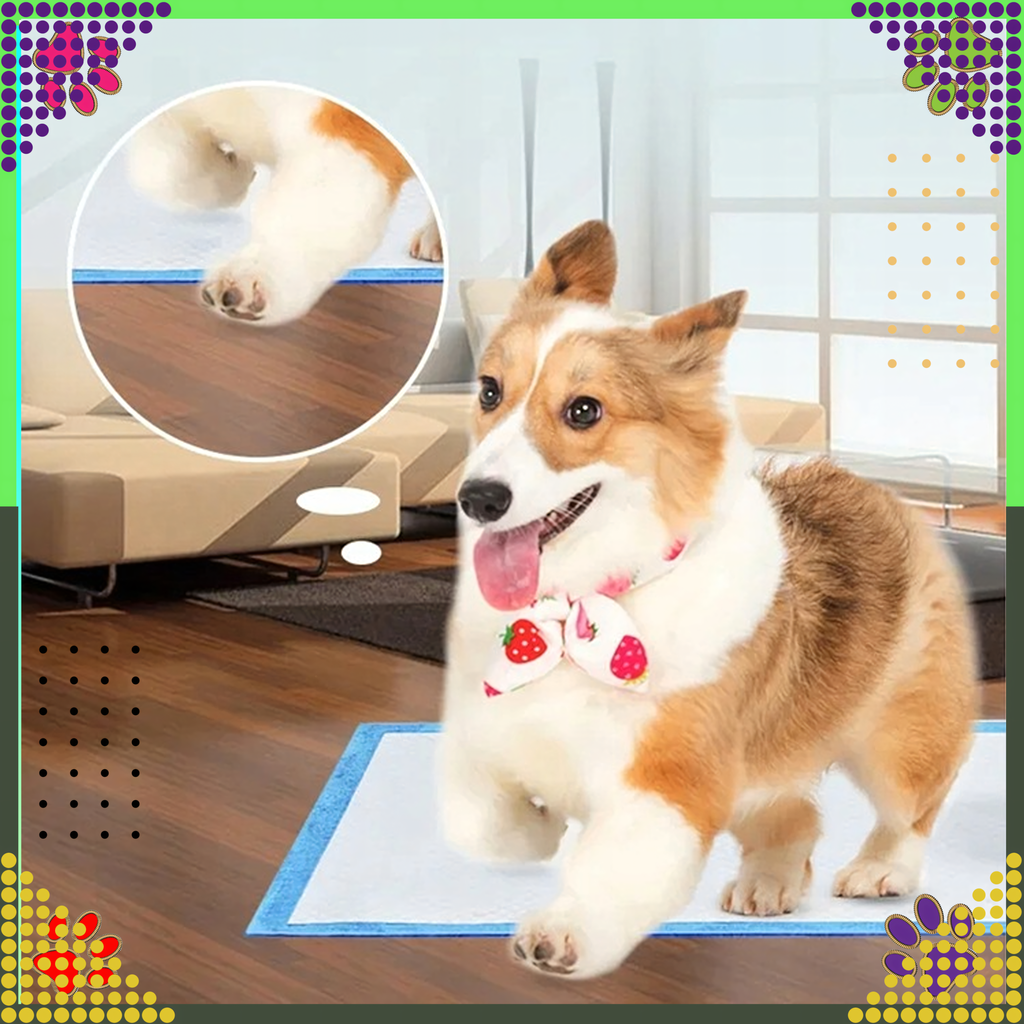 Hügieenilised matid koertele pissimise õppimiseks, XL, 40x60cm, paksud, 50 tk