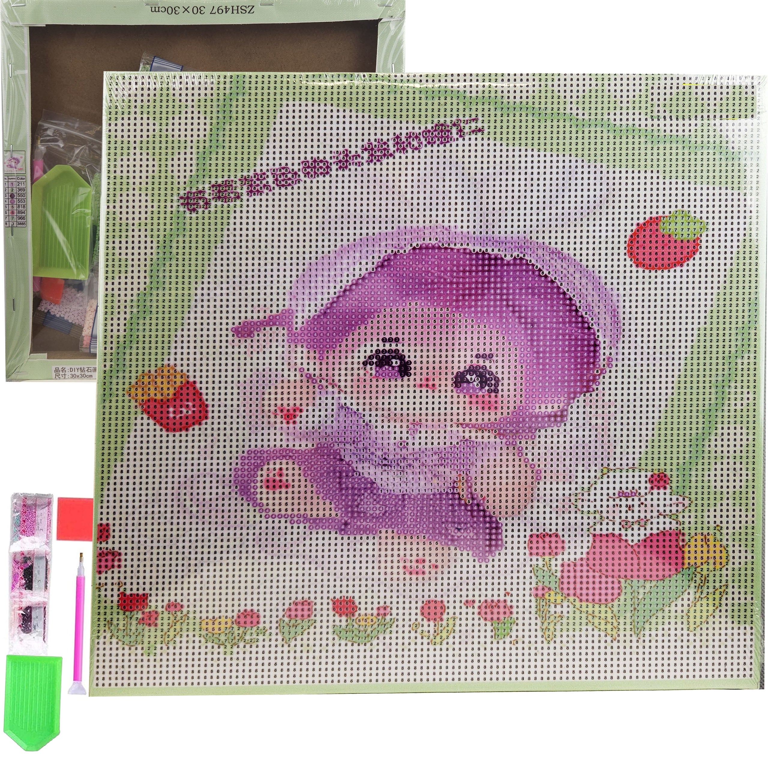 Teemanttikand 30x30 Teemantmaal Teemantmosaiik Anime Pilt