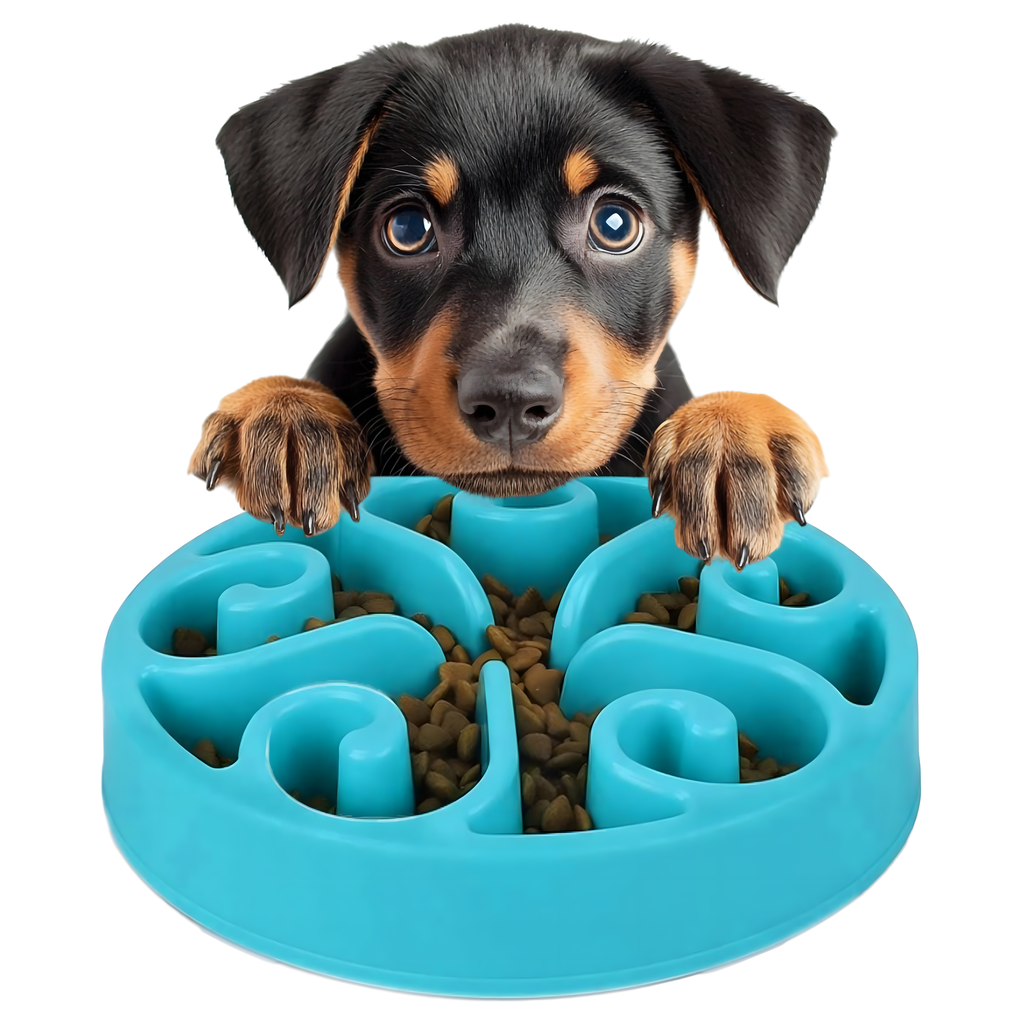 Toidu aeglustav kauss koerale, kassile ja teistele loomadele, suur, vaheseintega