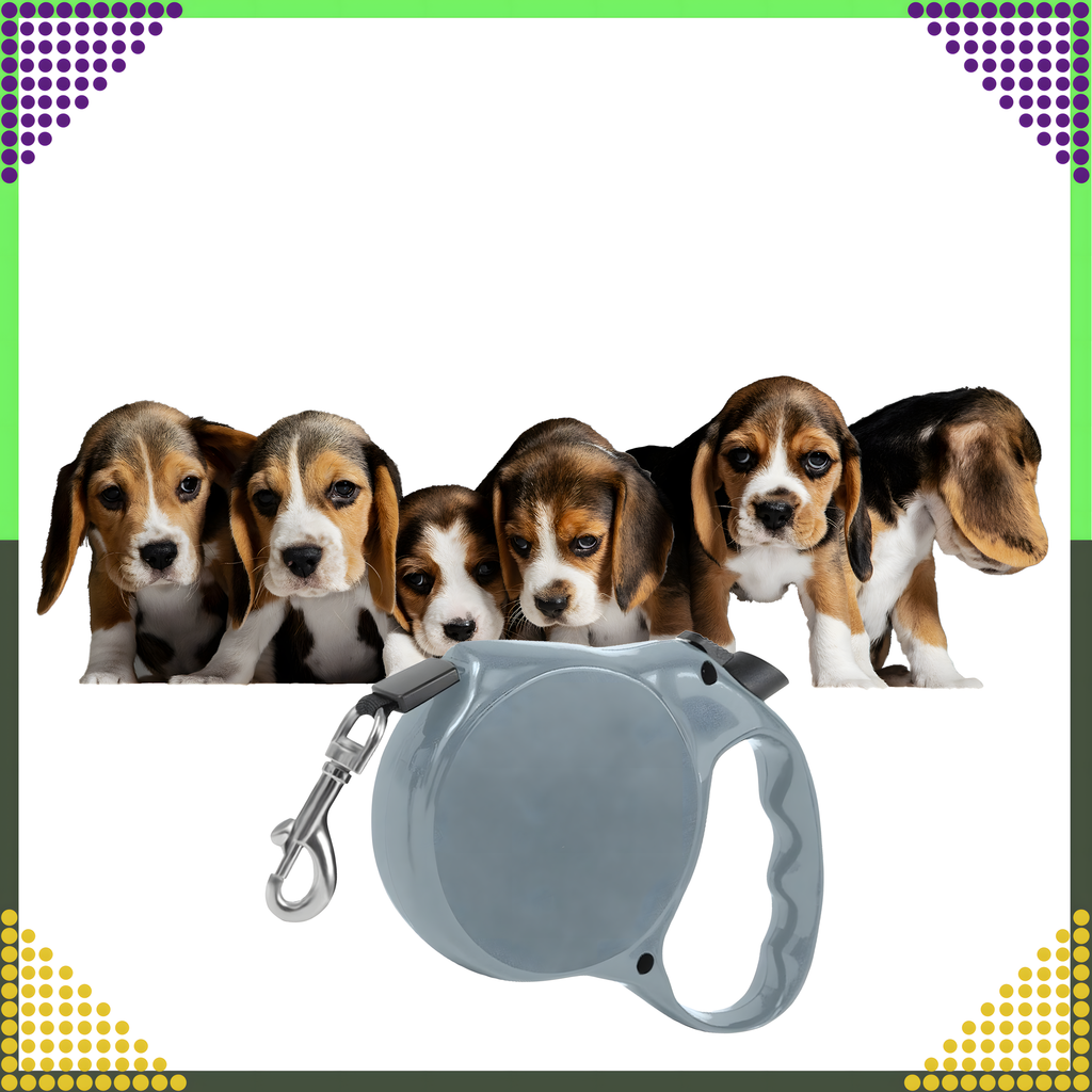 Tugev kerge rihmateip, automaatselt lukustuv, koerale ja kassile, pikkus 5m, tagasikeritav