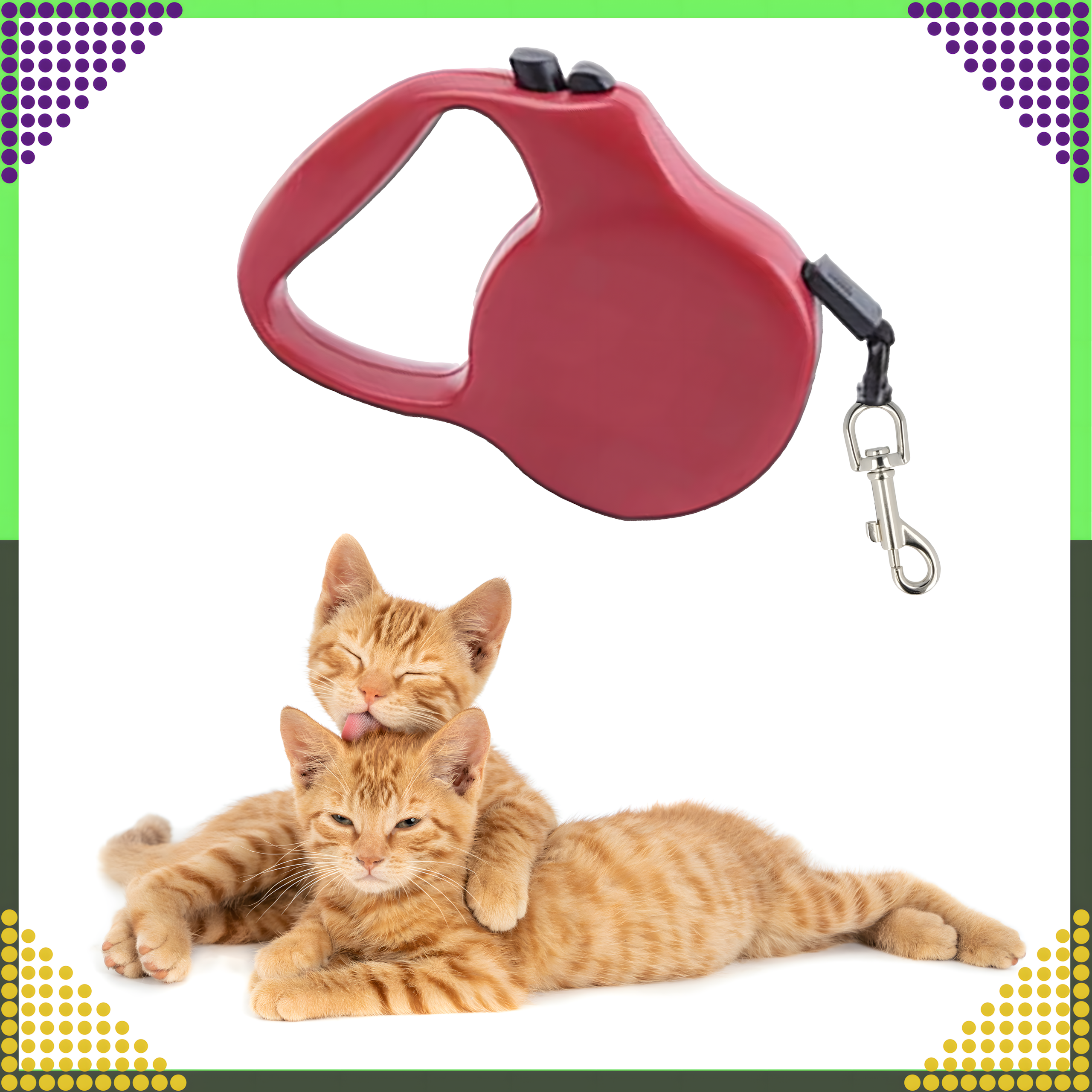 Strong Lightweight Retractable Tape Leash for Dog and Cat with Automatic Lock 5m