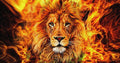Diamond Painting 5D Mosaic Kit 135