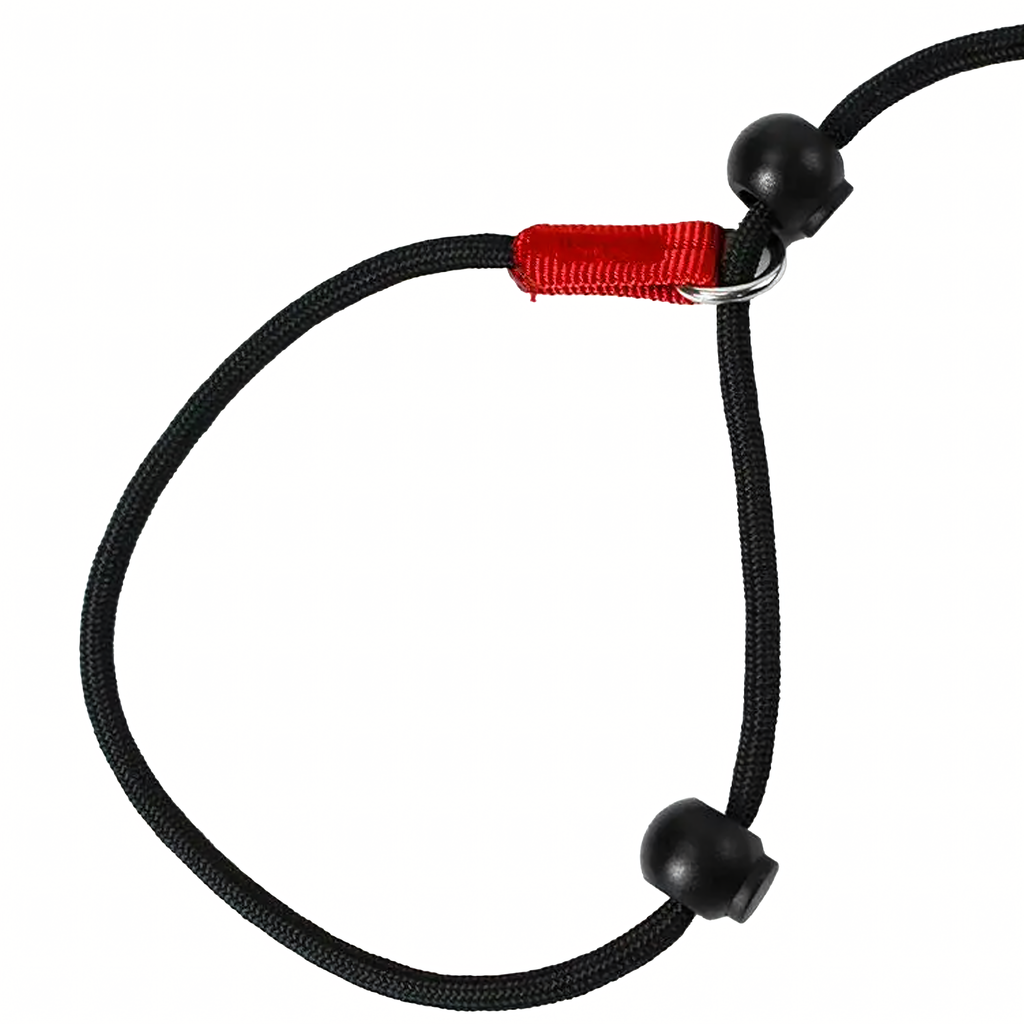 Nailonist tõmbamisrihm 140 cm jalutamiseks ja treeninguks õppimiseks