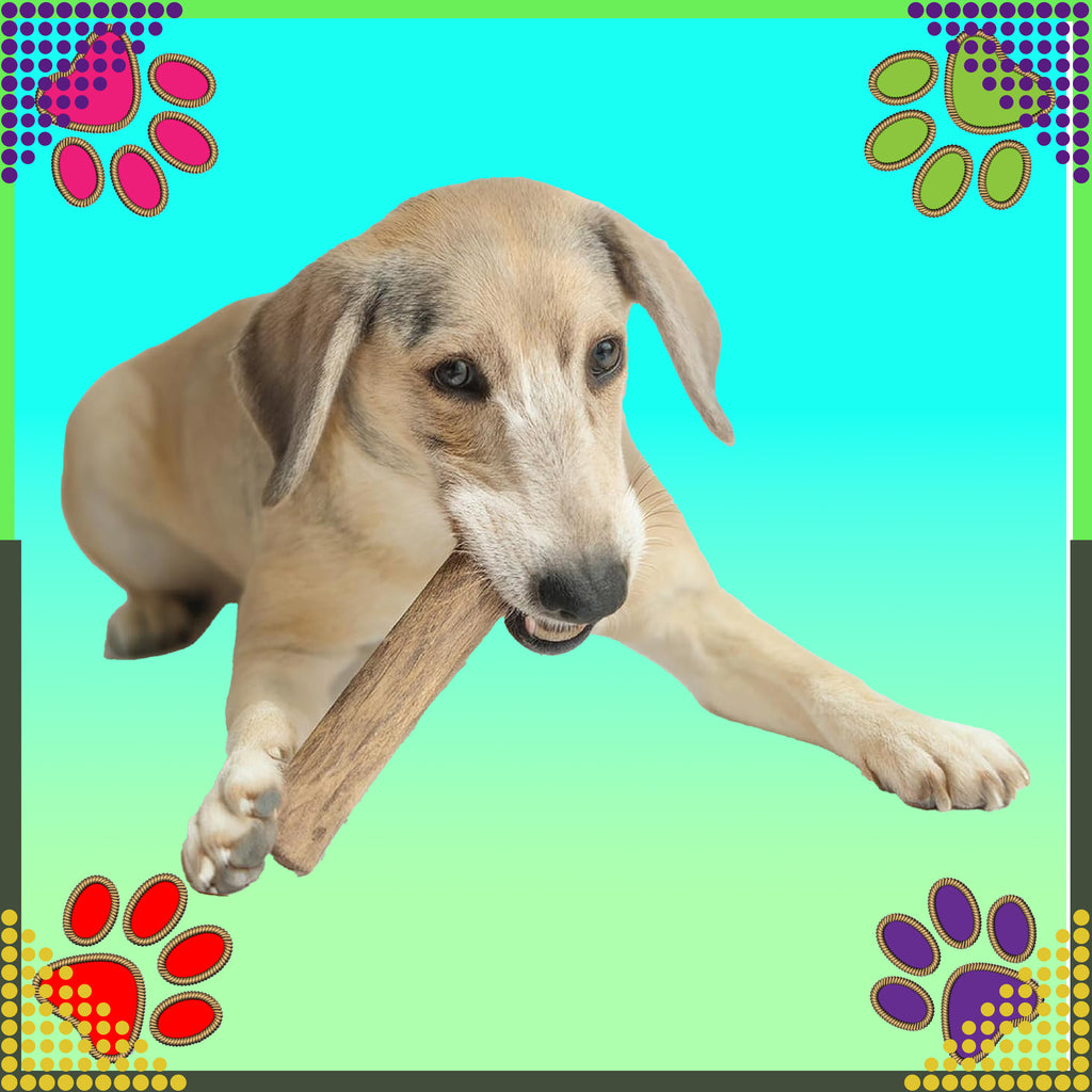 Puidust närimisleluga loomulik mänguasi koertele, vastupidav, 14x1cm