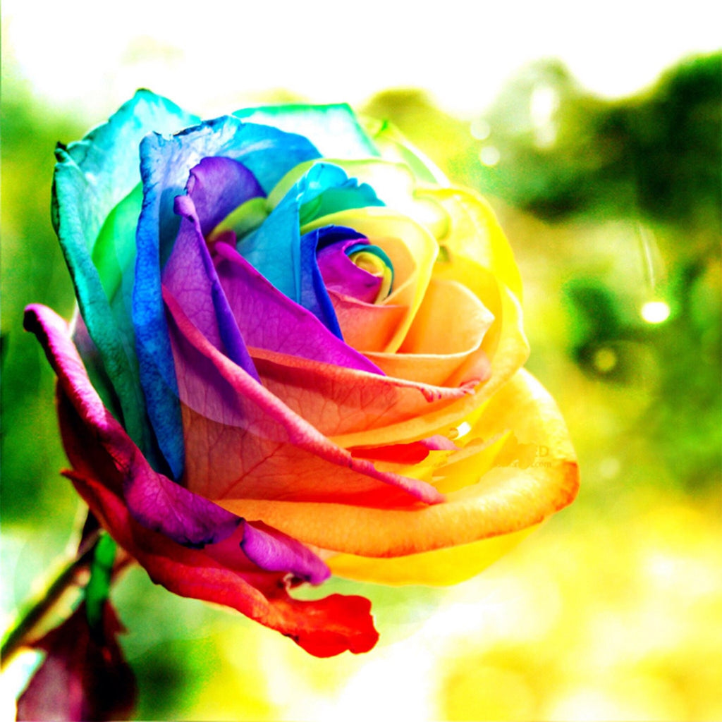 Diamond Painting 5D Mosaic Kit 42 - Rose Pattern
