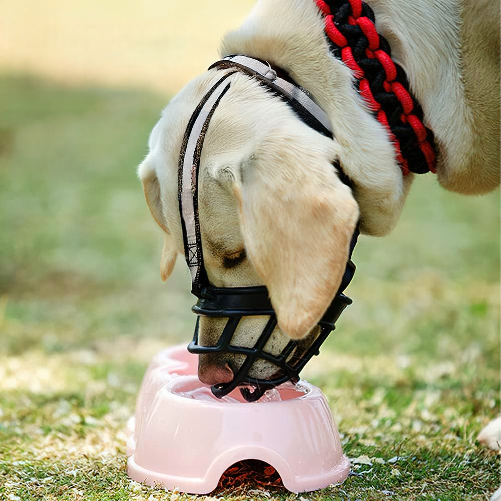 Füsioloogiline koeramuser kummist reguleeritav helkiv pehme 31-35 cm