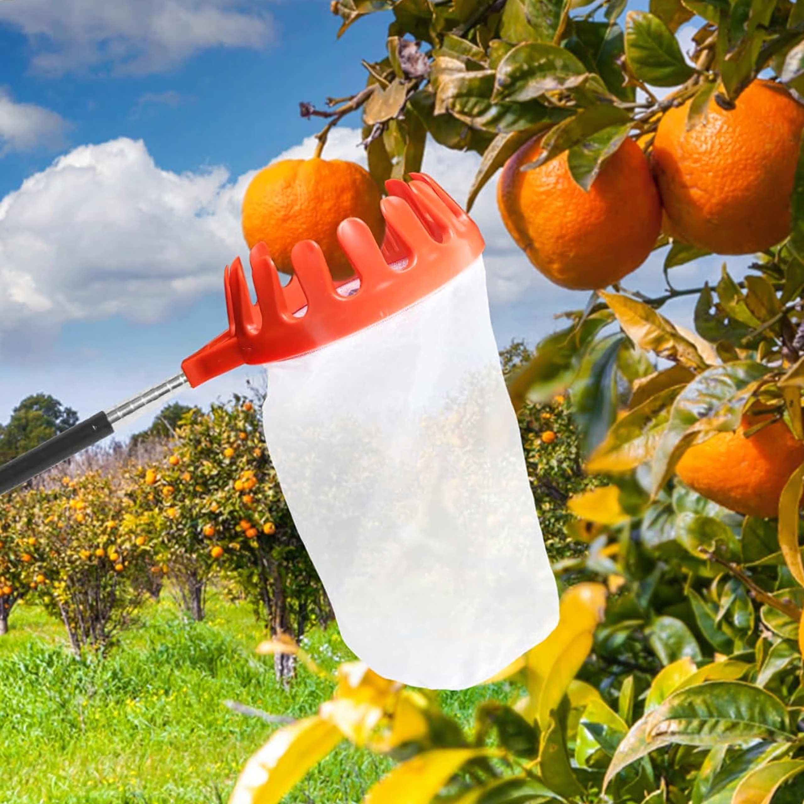 Puuviljakorv õunte ja teiste puuviljade korjamiseks