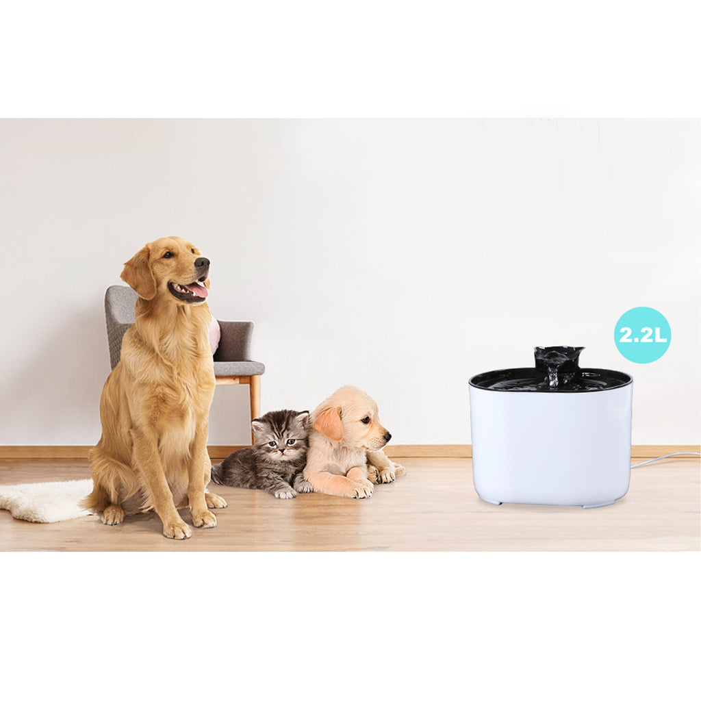 Automaatne joogikauss vaikne purskkaev kassile ja koerale 2.2 L