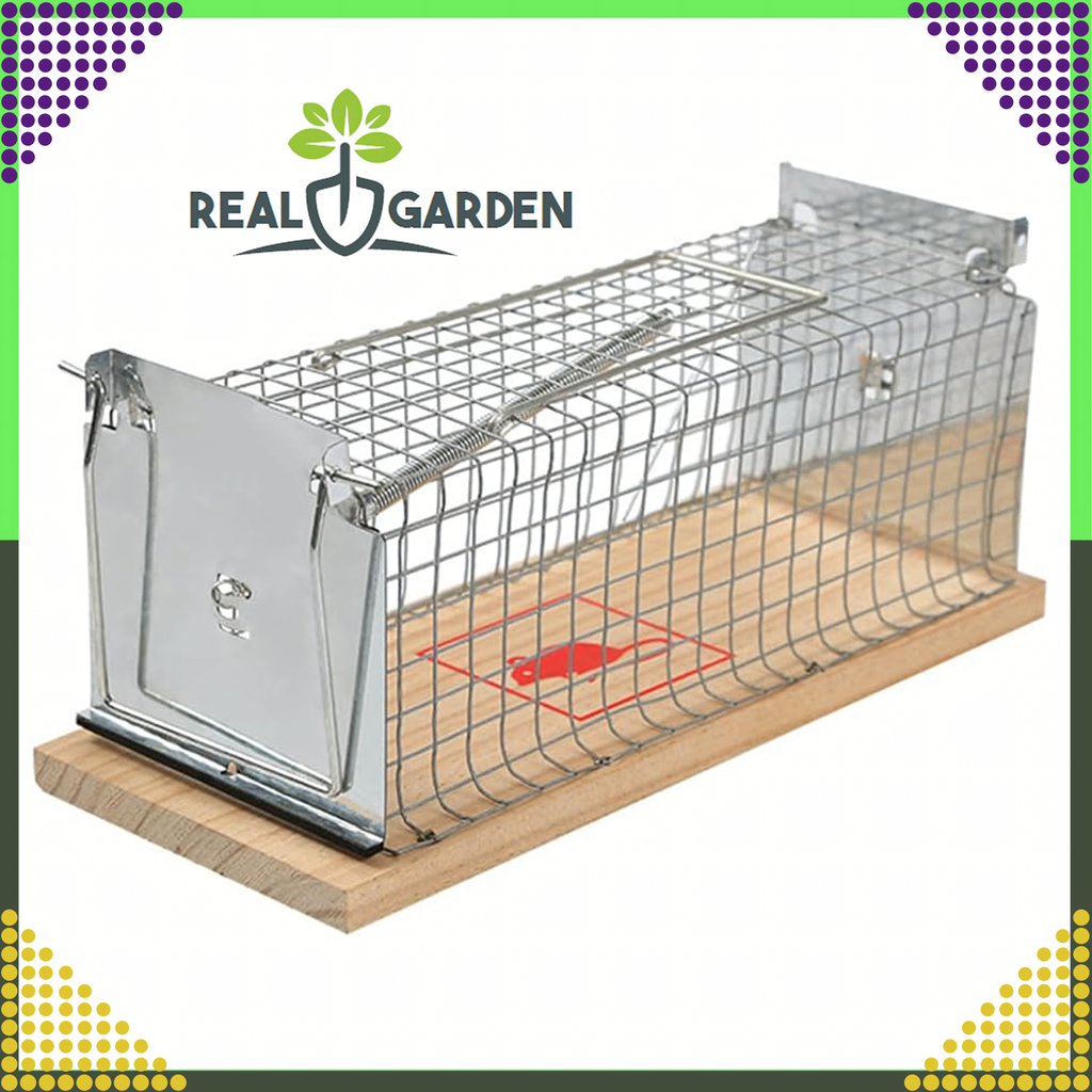 2x Humanitarian Live Trap for Rats and Rodents XXL