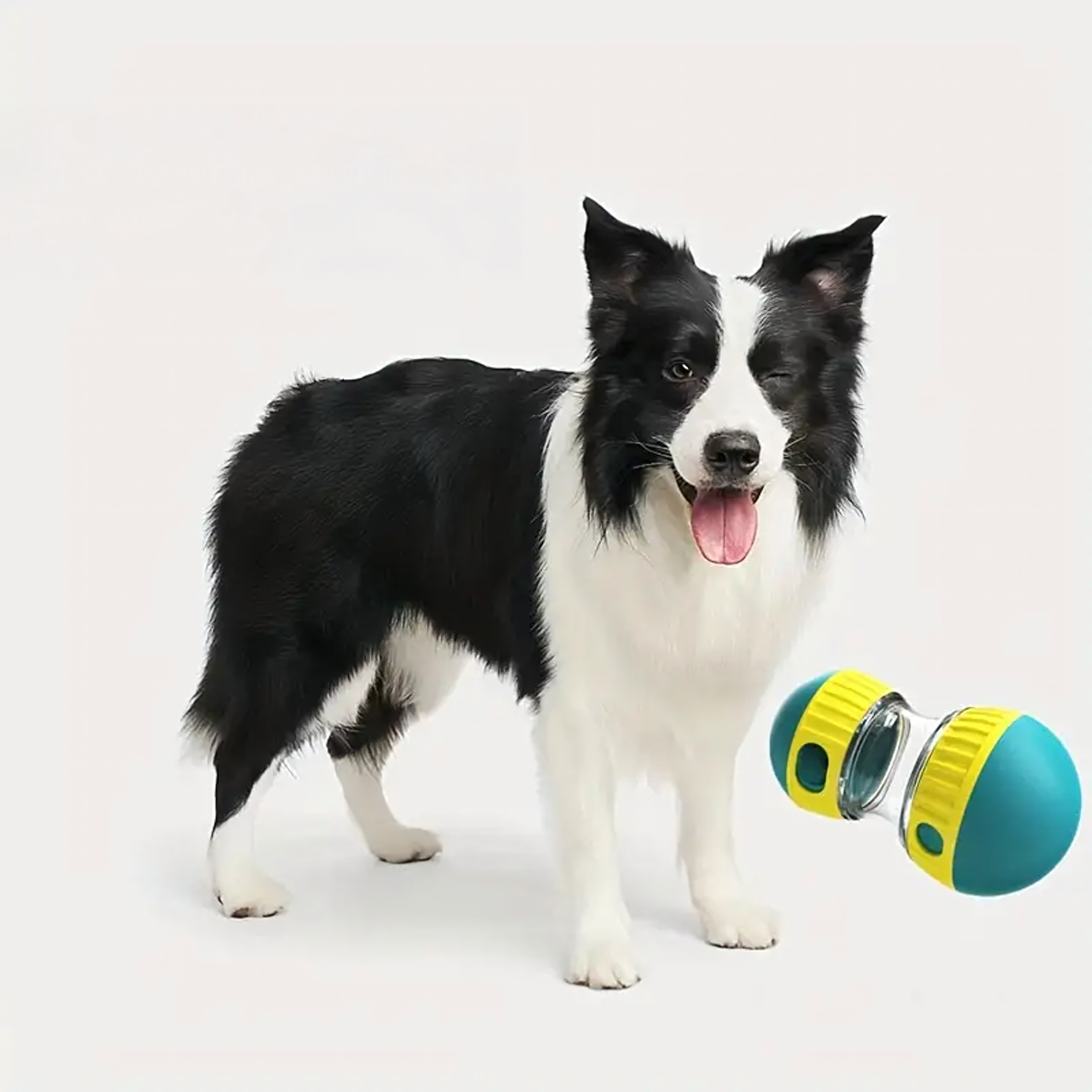 Interaktiivne aeglustav koera söötmise maiusejaotur mänguasi