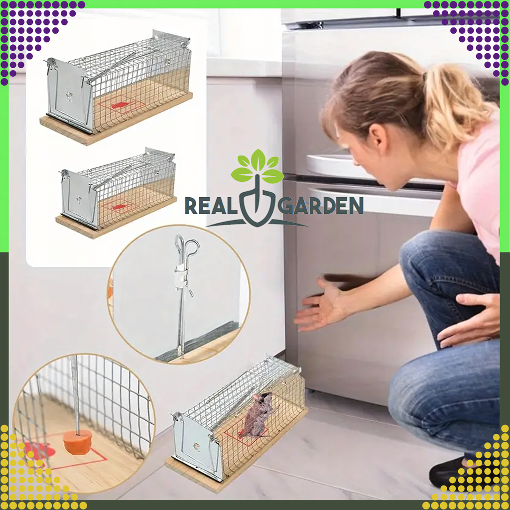 2x Humanitarian Live Trap for Rats and Rodents XXL