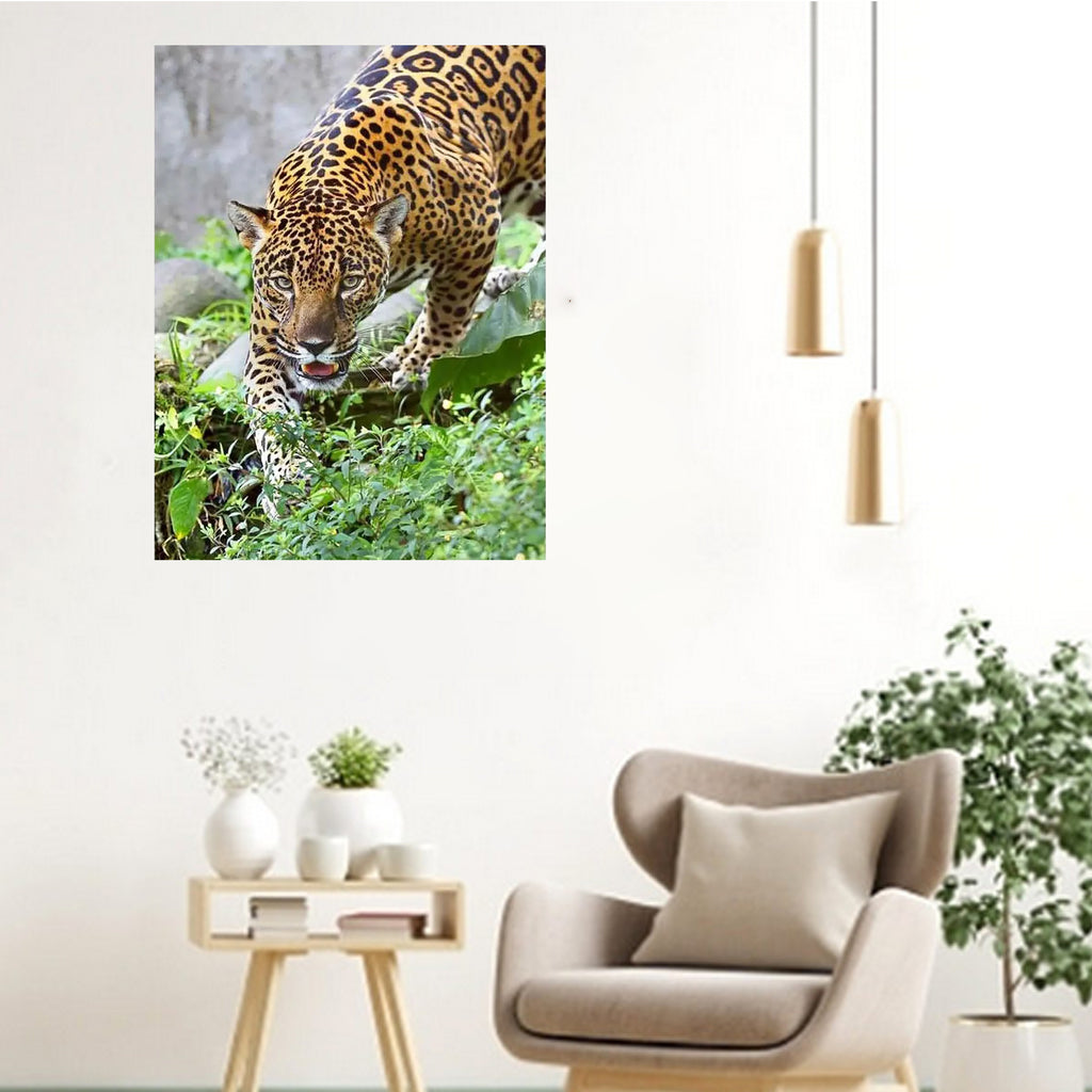 Numbrite järgi maalimise komplekt raamiga 40x50 cm Jaguar disain