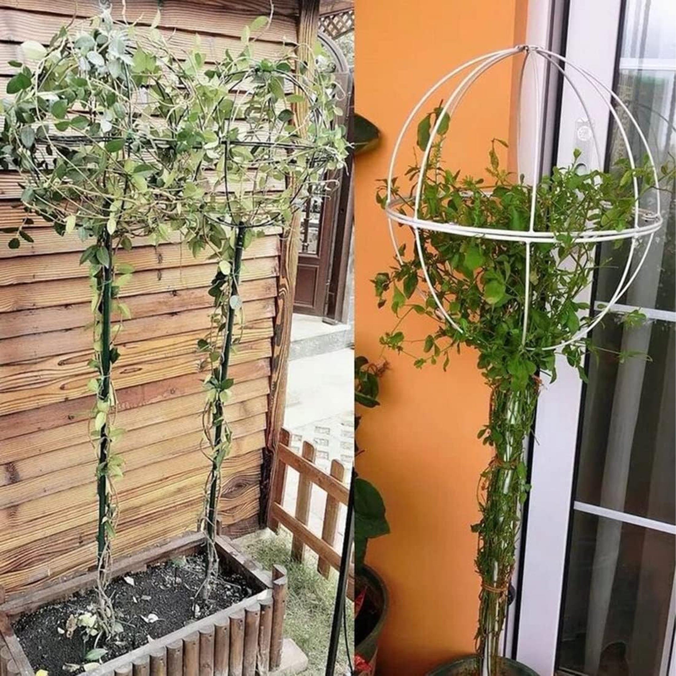 Valge metallist aiapergola tugi roniroosidele ja lilledele 50x10cm