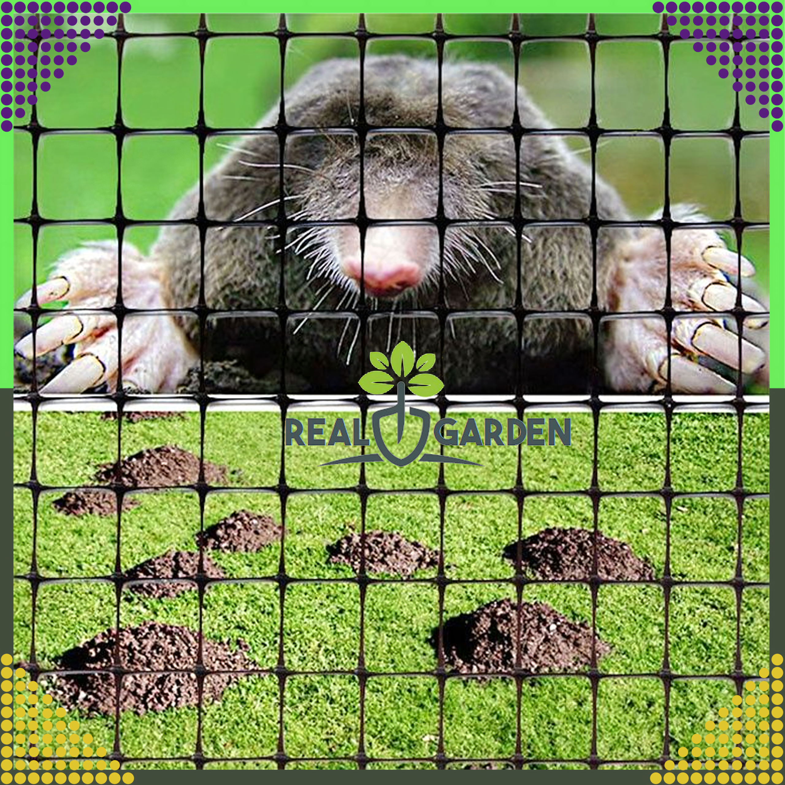 Strong Dense Mole Netting 1x200m 30g with 100 Anchors