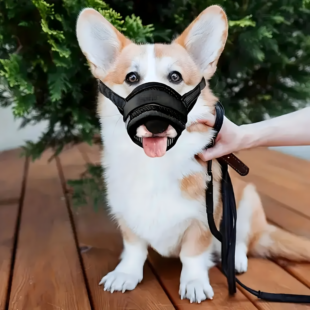 Materjalist koeramuser võrguga, füsioloogiline, ohutu nailon XL 13-15 cm