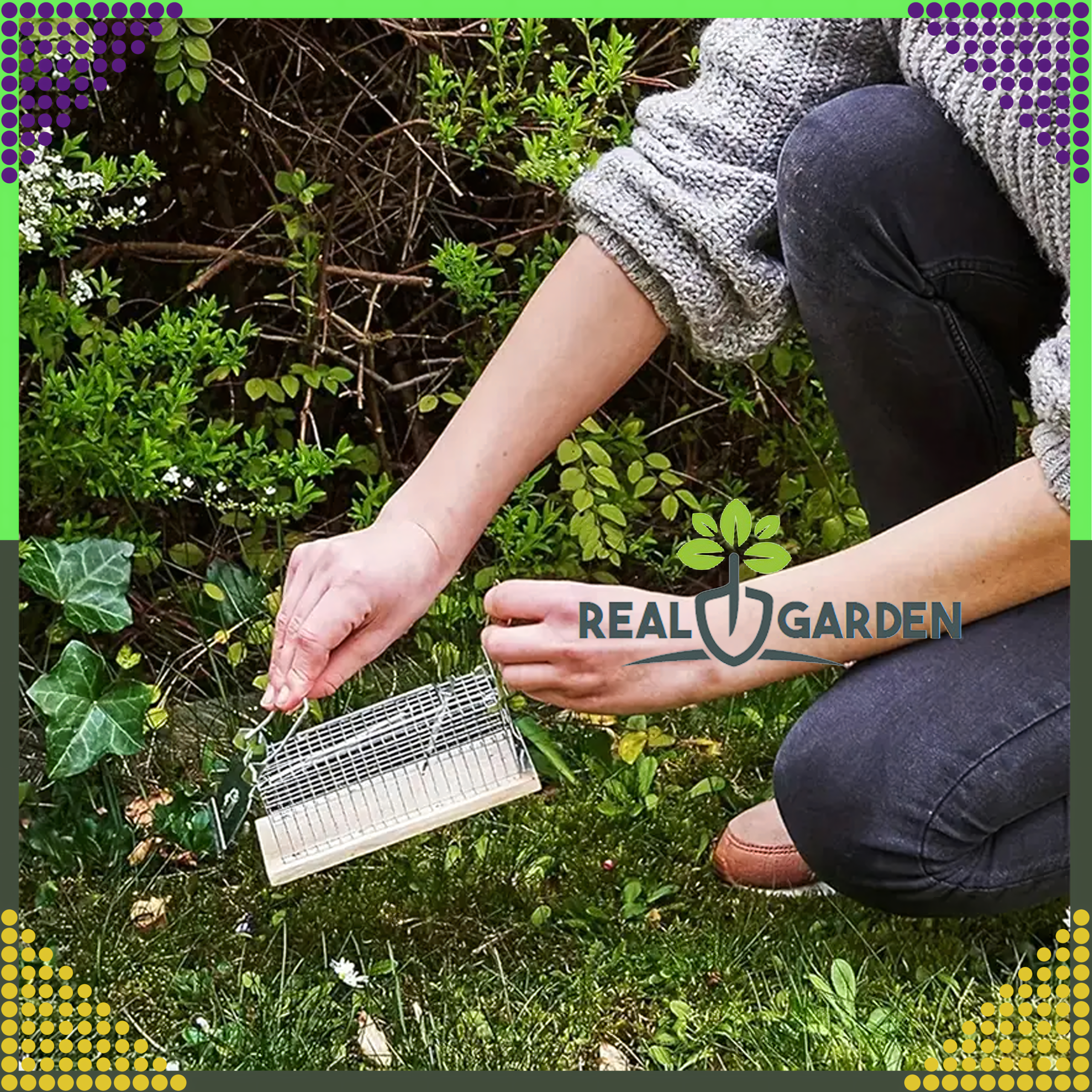 2x humanitaarne eluspüünis rottidele ja närilistele XXL