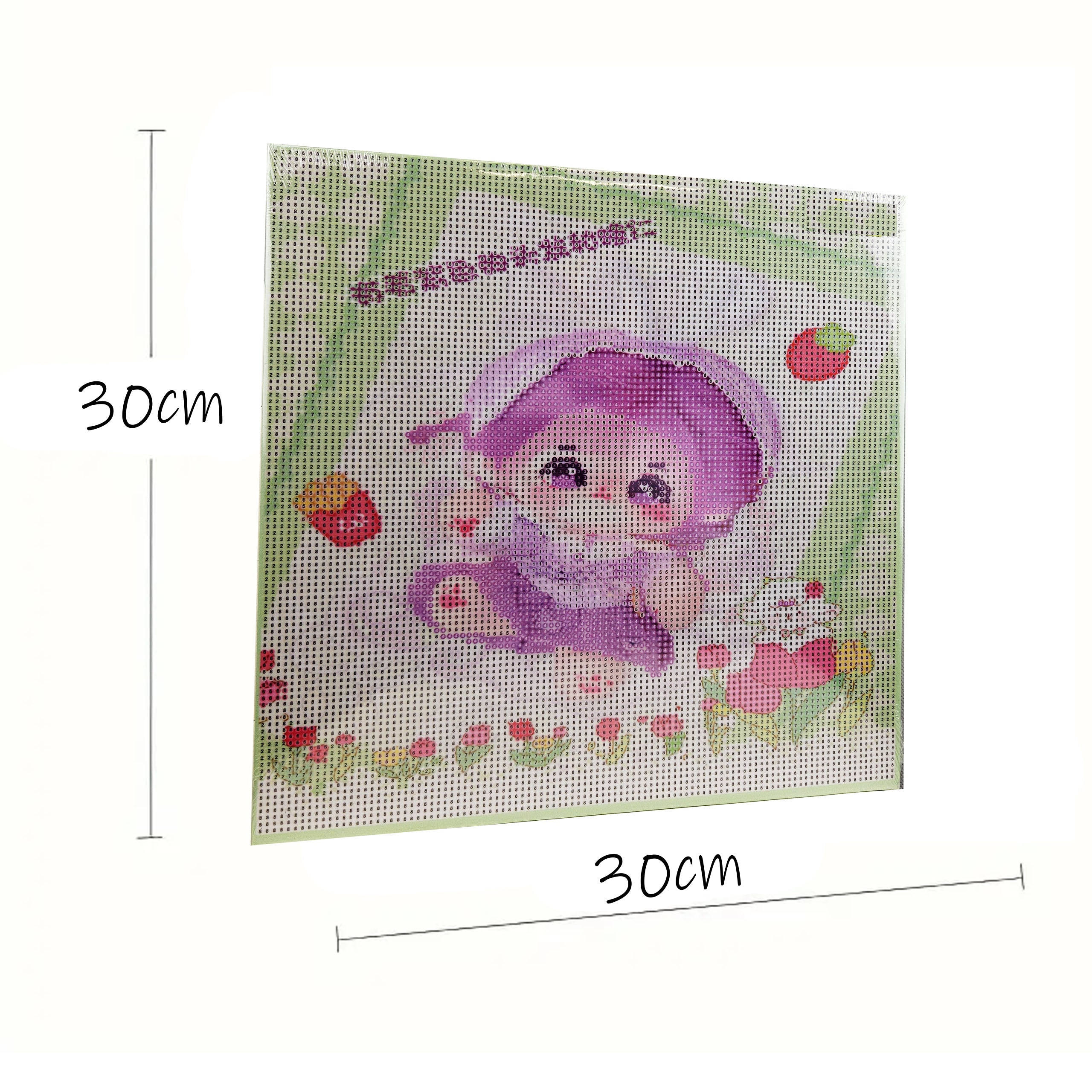 Teemanttikand 30x30 Teemantmaal Teemantmosaiik Anime Pilt