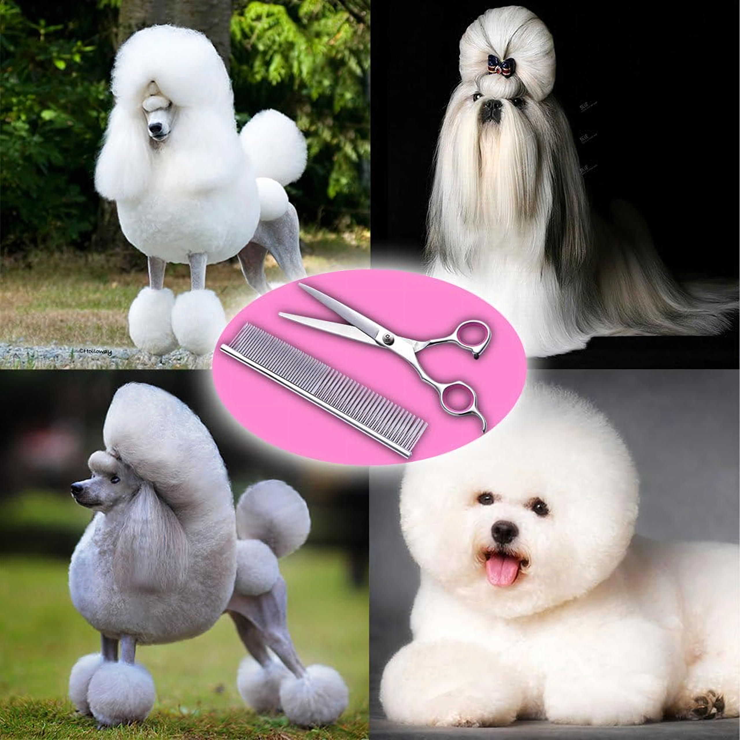 Professionaalsed loomade, koerte ja kasside lõikuskäärid, 4 tk komplekt, karbis