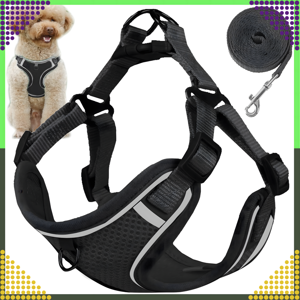 Tugevad, survevabad traksid, jalutusrihm väikestele koertele ja kassidele, vastupidav, suurus M