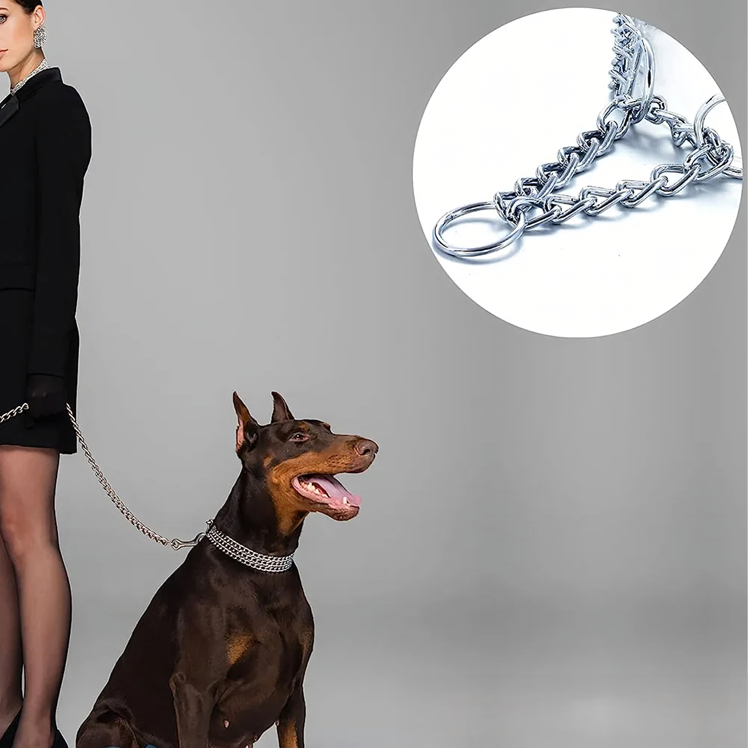 Tugev metallist koerakrae 3 reaga, 45 cm kett