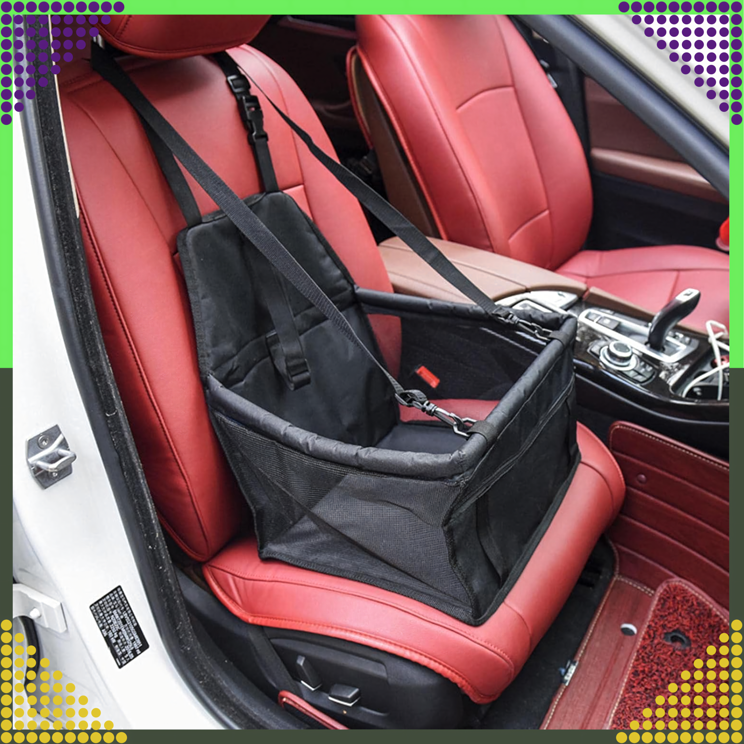 Koera ja kassi kandekott-autoistme matt