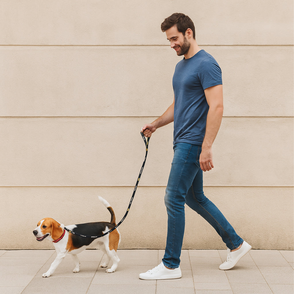 Nailonist tõmbamisrihm 140 cm jalutamiseks ja treeninguks õppimiseks