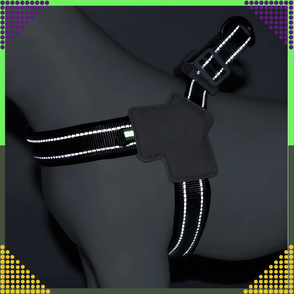 Tugevad, survevabad traksid, jalutusrihm väikestele koertele ja kassidele, suurus: S