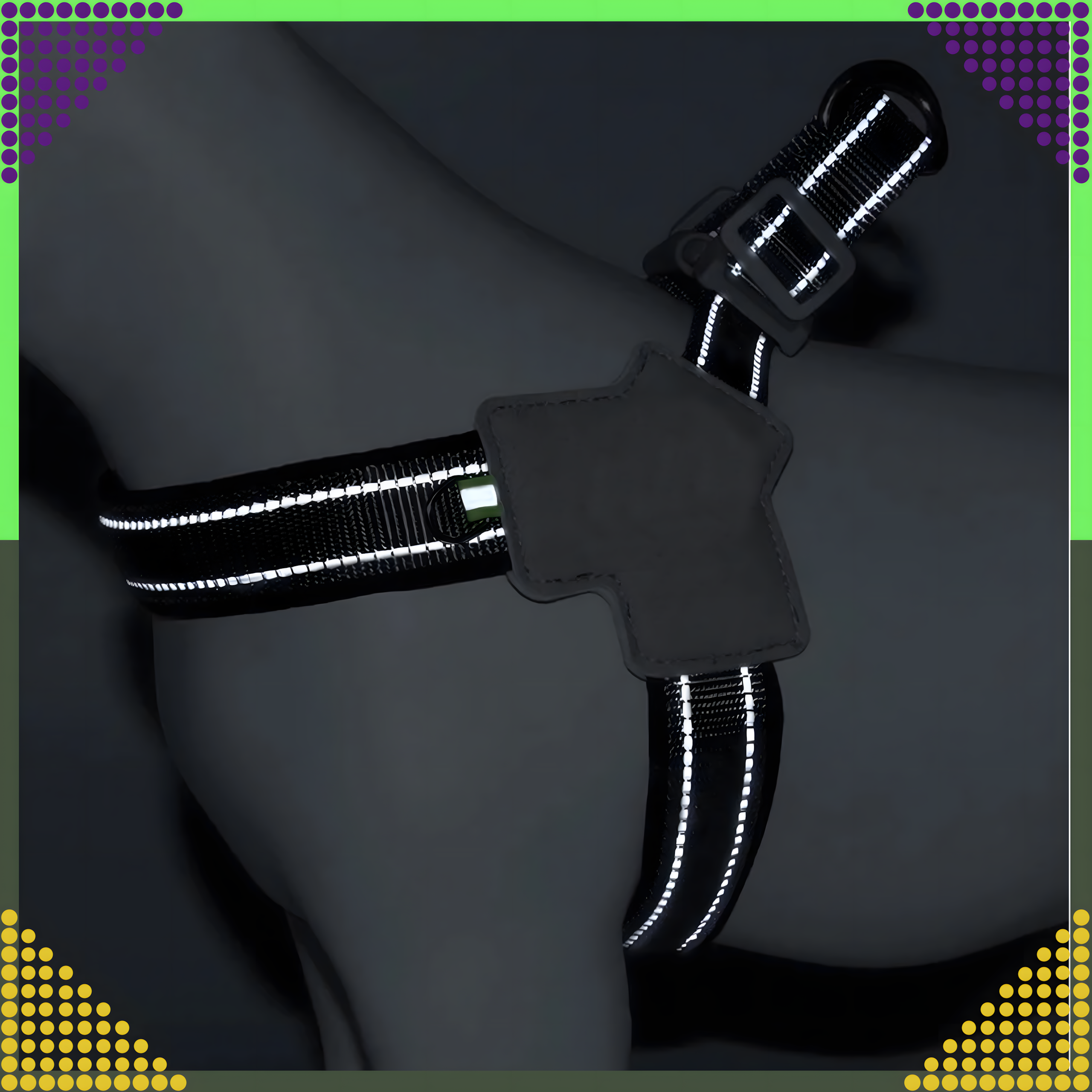 Tugevad, survevabad traksid, jalutusrihm väikestele koertele ja kassidele, suurus: S