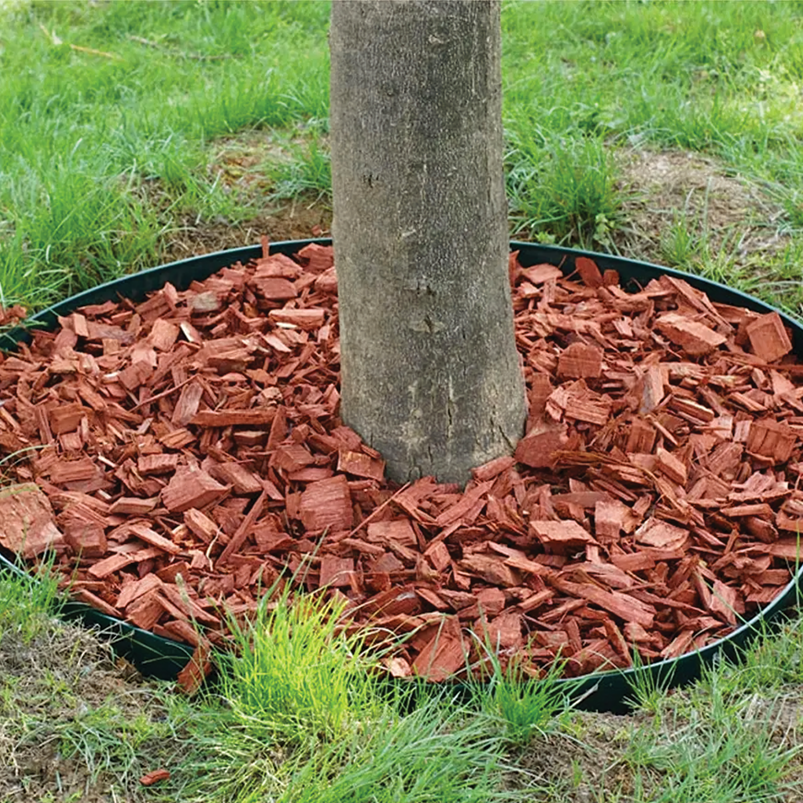 250x aiamaa muruserva komplekt 50mmx50mmx10m koos 30 Black ankrukinnitusega