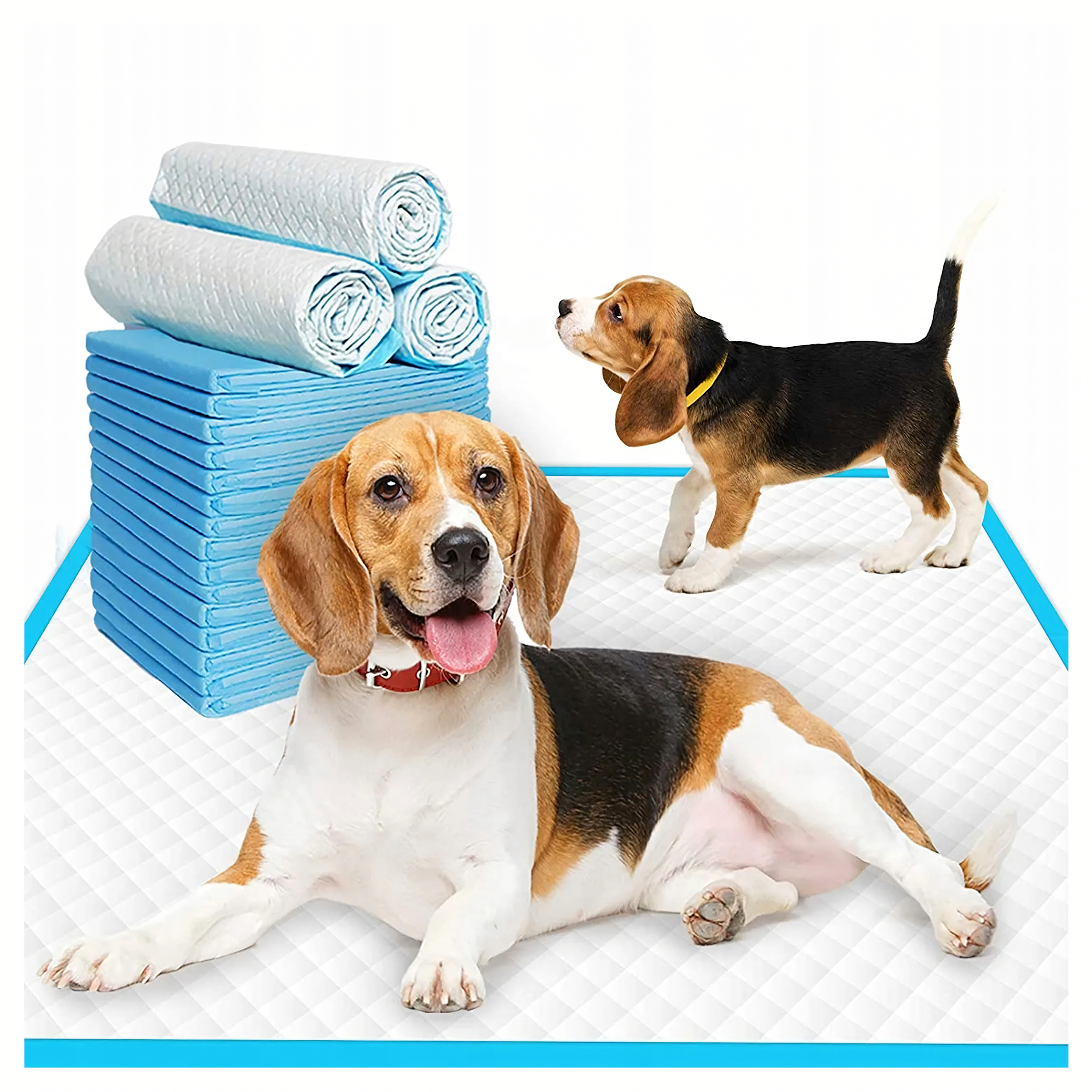 Hügieenilised alusmatid koertele pissimise õppimiseks XL 40x60cm paksud 20 tk SININE