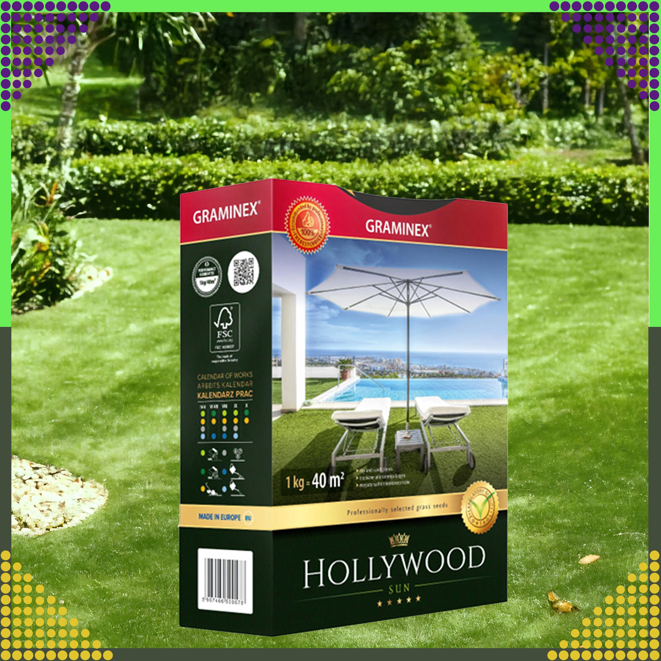 Premium Grass Seed Mix HOLLYWOOD 1kg for Sunny Dry Areas