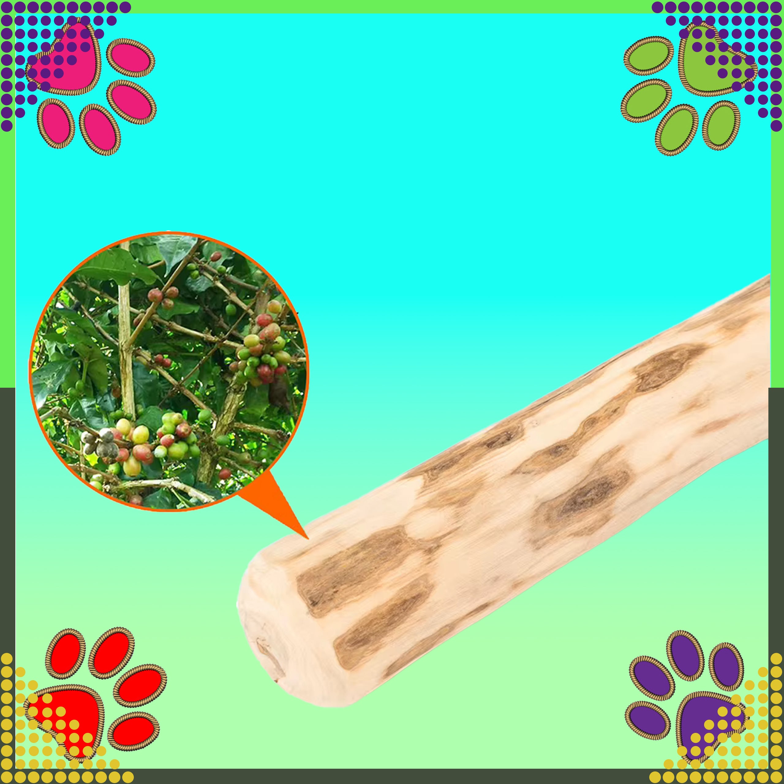 Puidust närimisleluga loomulik koertele, vastupidav mänguasi 20x3.5cm