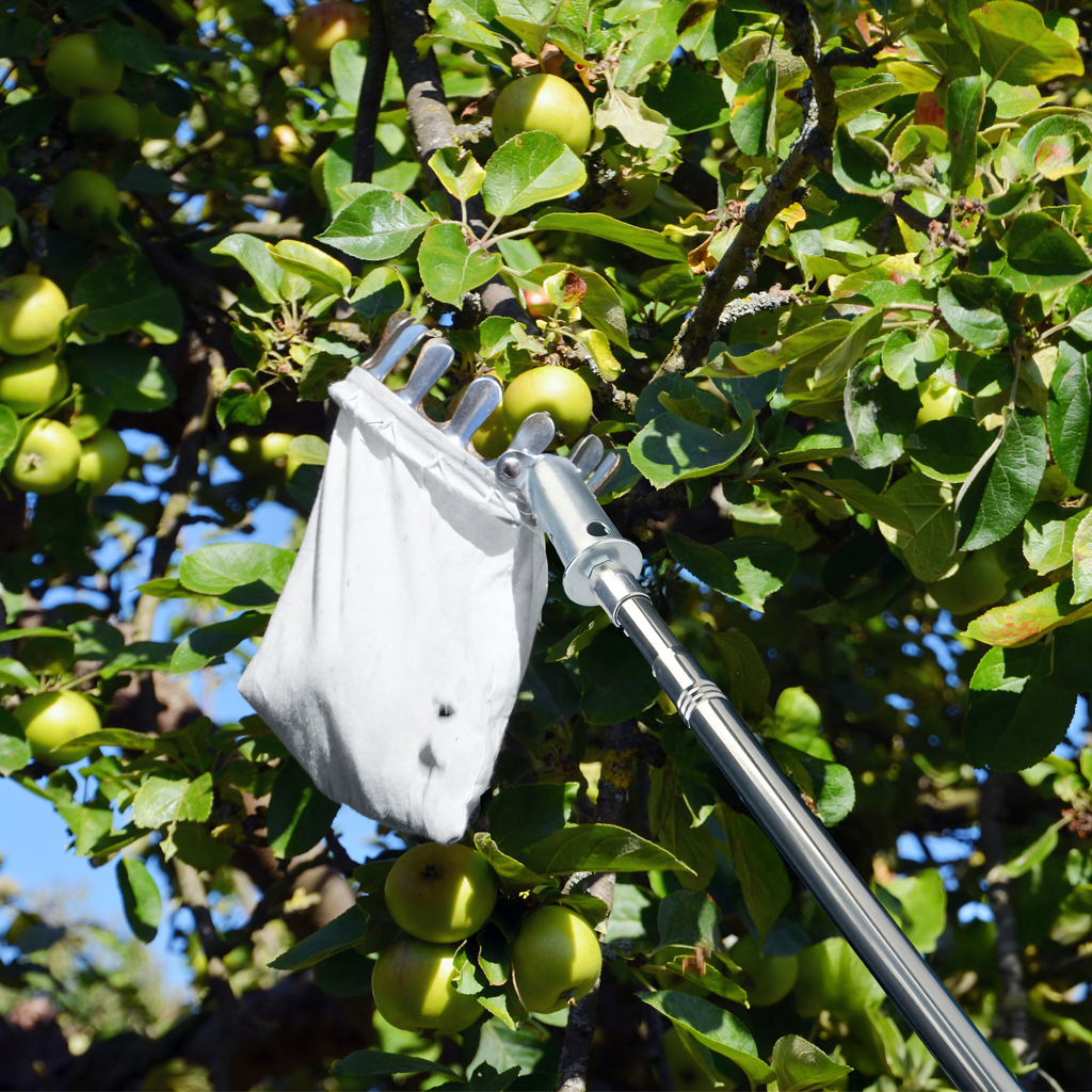 Telescopic Fruit Picker with 4 Interchangeable Heads, 400 cm Handle