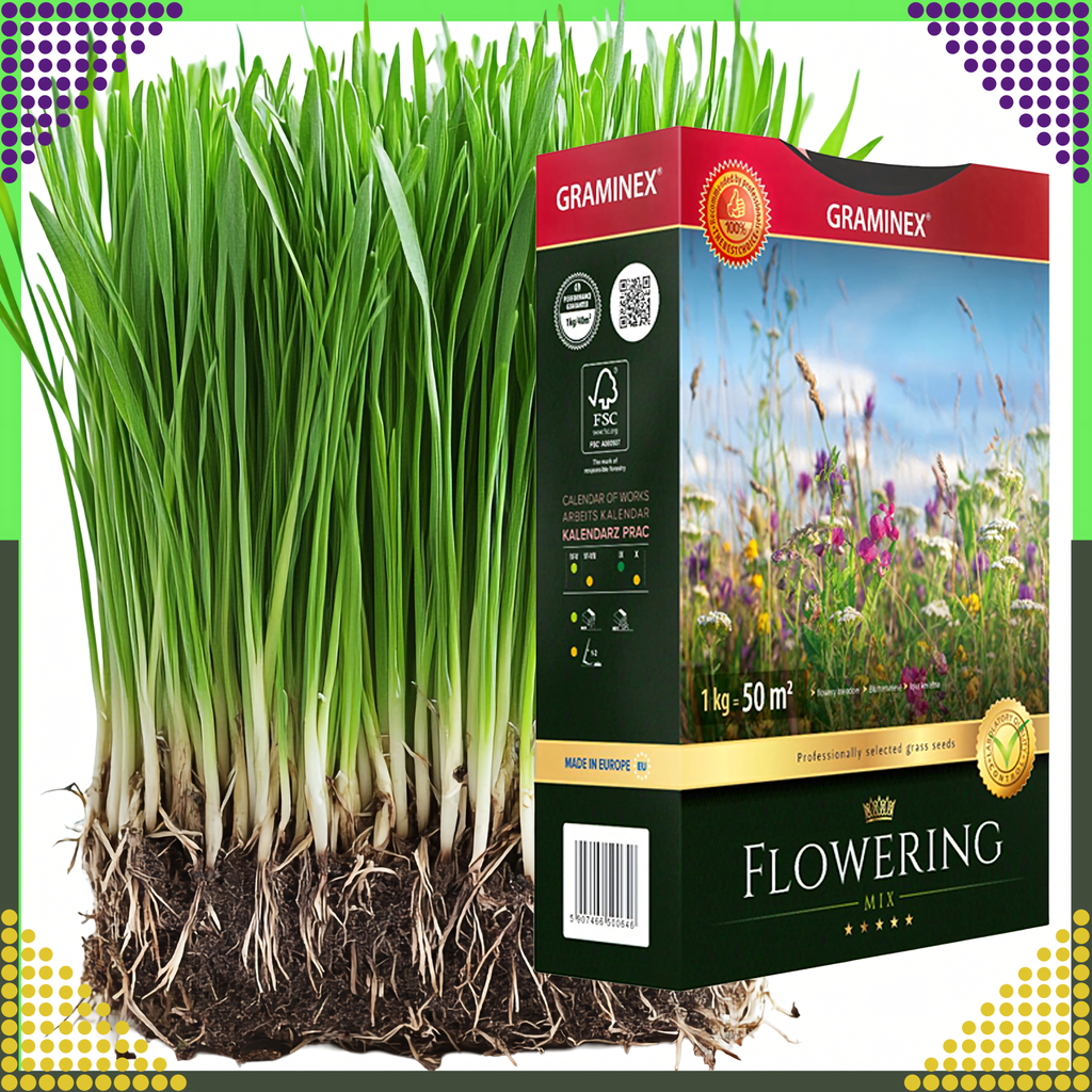 Premium Flowering Mix Grass Seeds 1kg for 40m Lawn Meadow Flower Garden