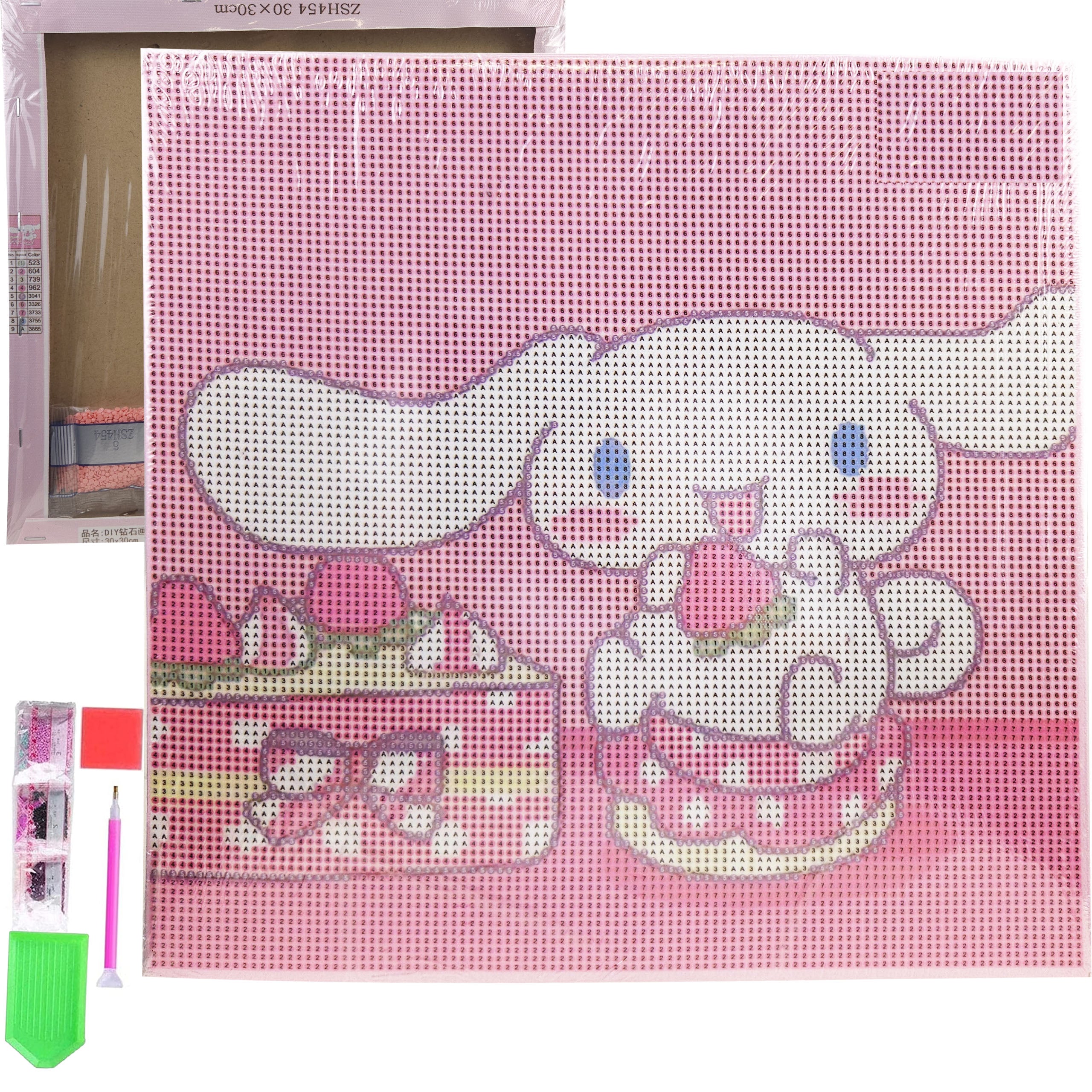 Teemanttikand 30x30 Teemantmaal Teemantmosaiik Anime Pilt