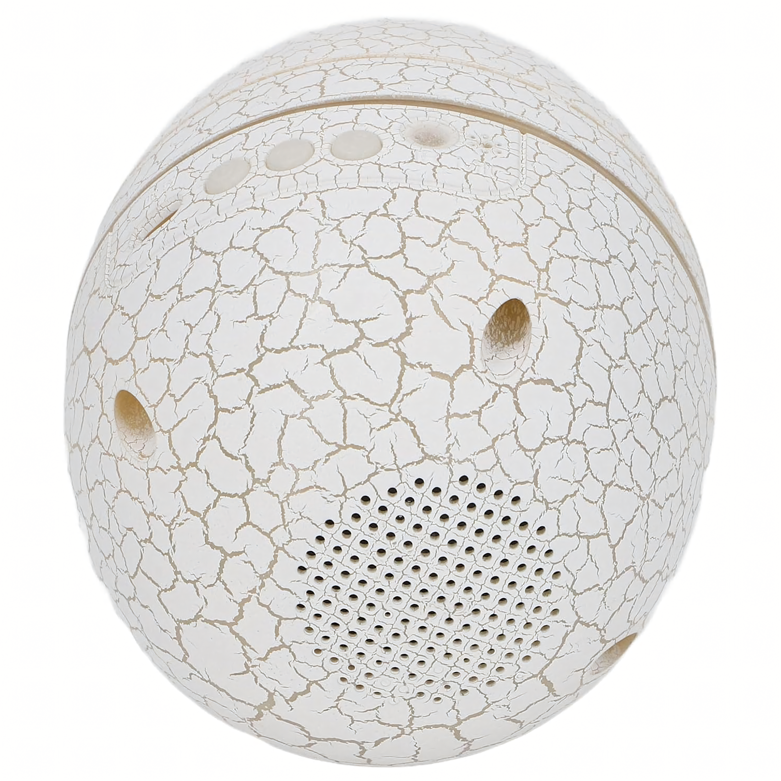 Dinosauruse Muna Täheprojektor koos Galaktika Kõlariga USB LED Öövalgusti