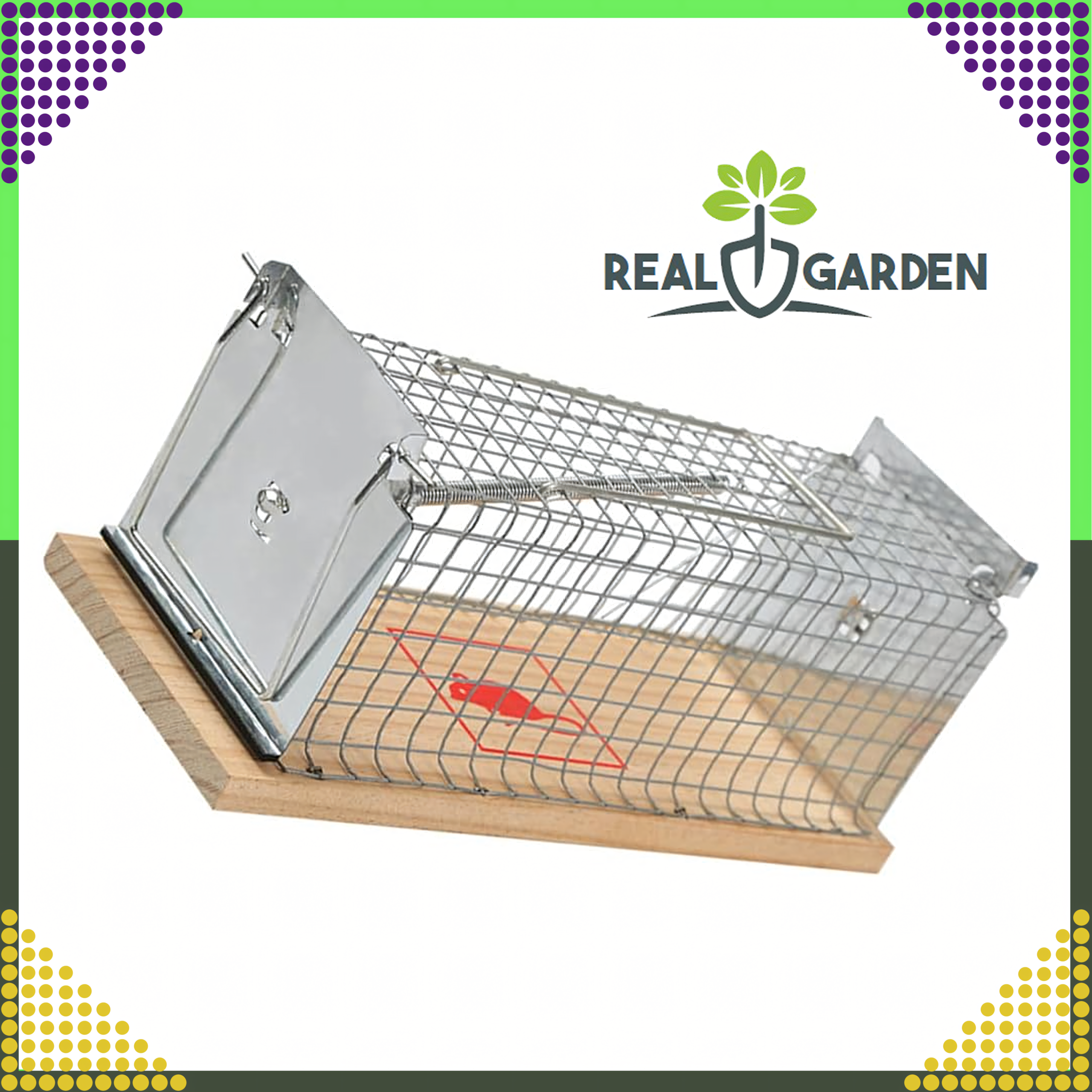 2x humanitaarne eluspüünis rottidele ja närilistele XXL