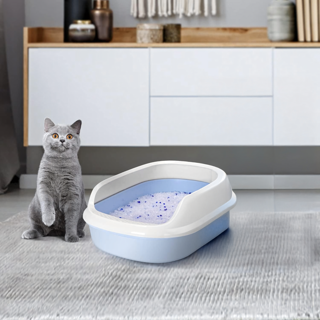 504x silikoonist kassiliiv liivakasti jaoks, mitteklompiv, tolmuvaba, tõhus