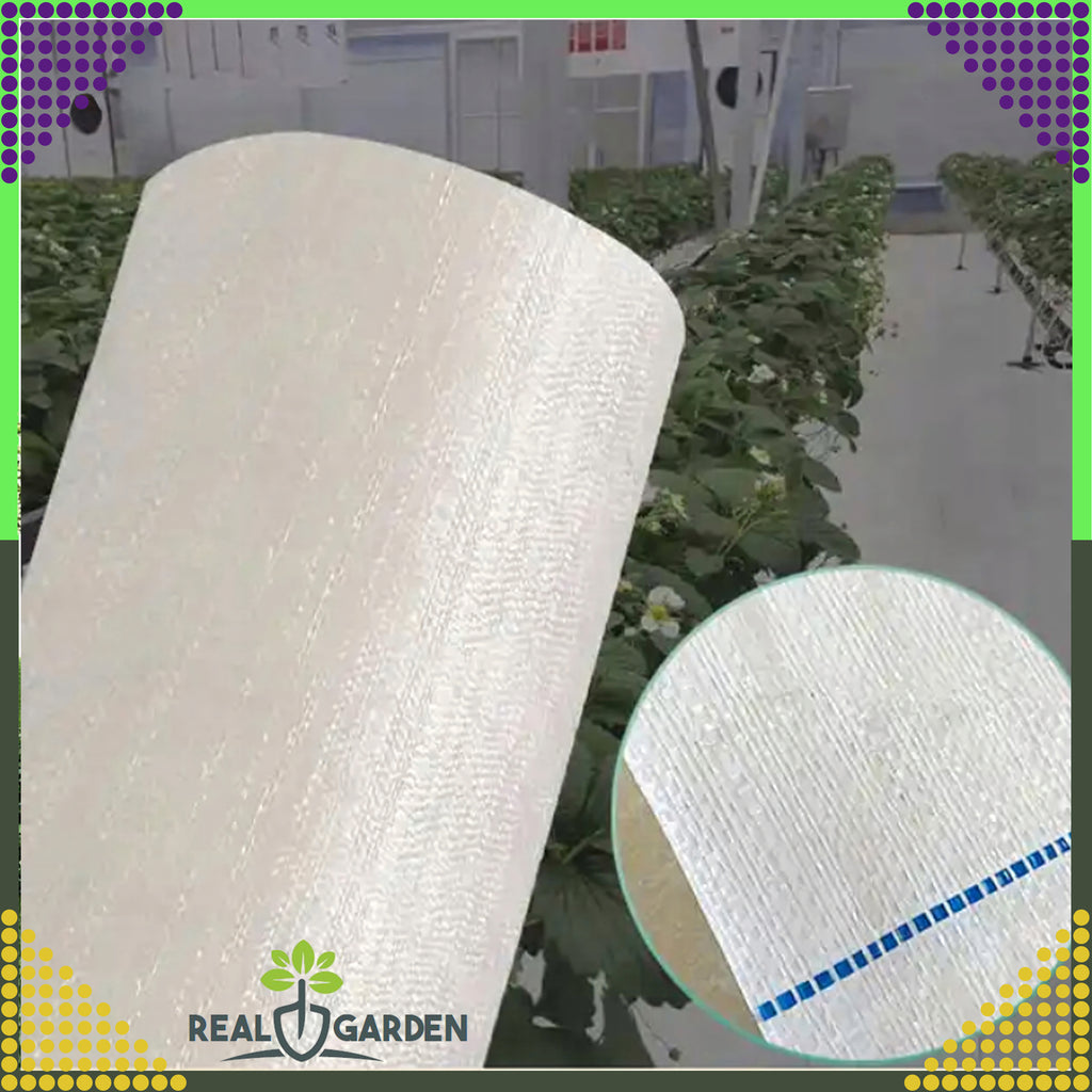 Agrotextile 70g 1.6x100m White UV Agro Fabric Weed Control Mat with Anchors