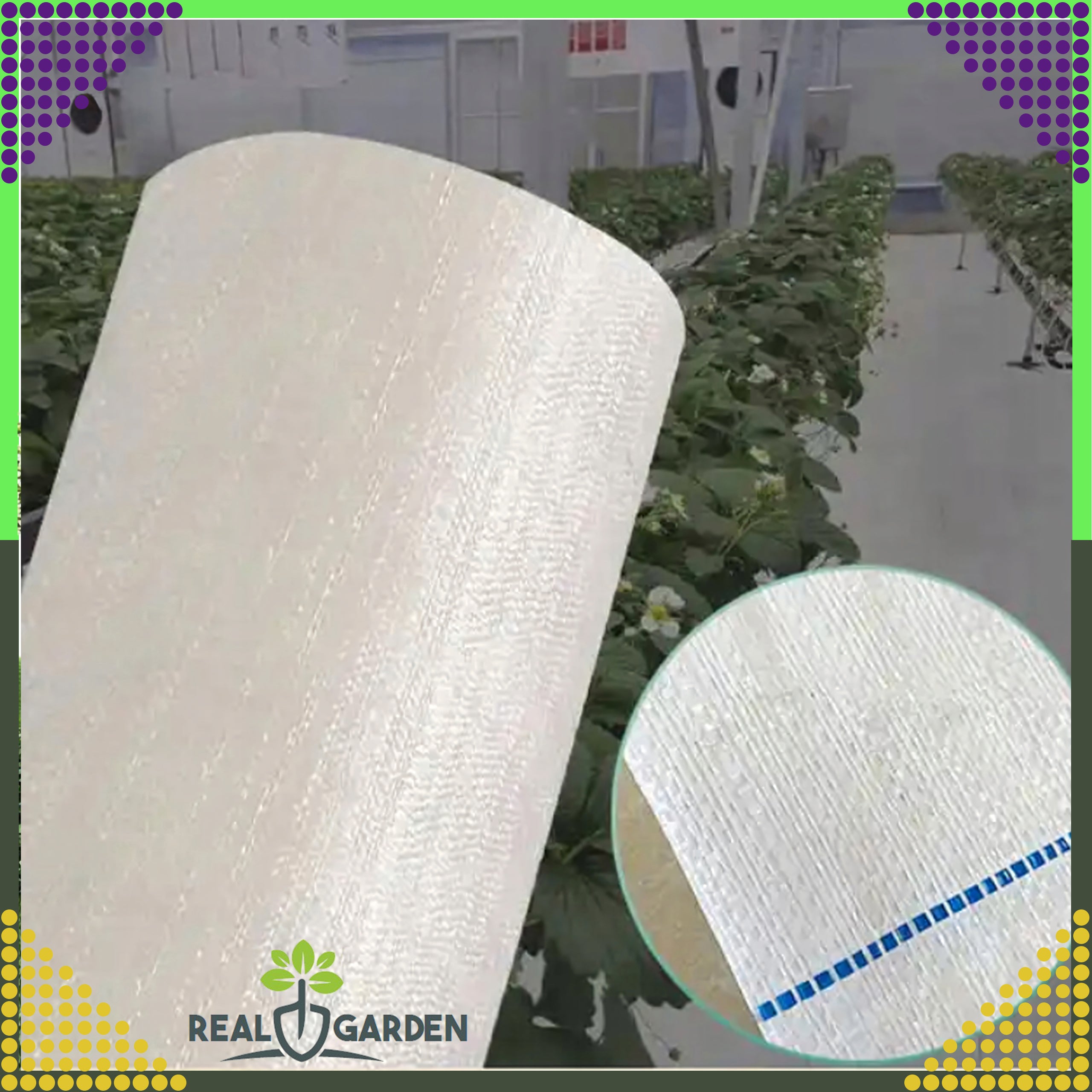 Agrotextile 70g 1.6x100m White UV Agro Fabric Weed Control Mat with Anchors