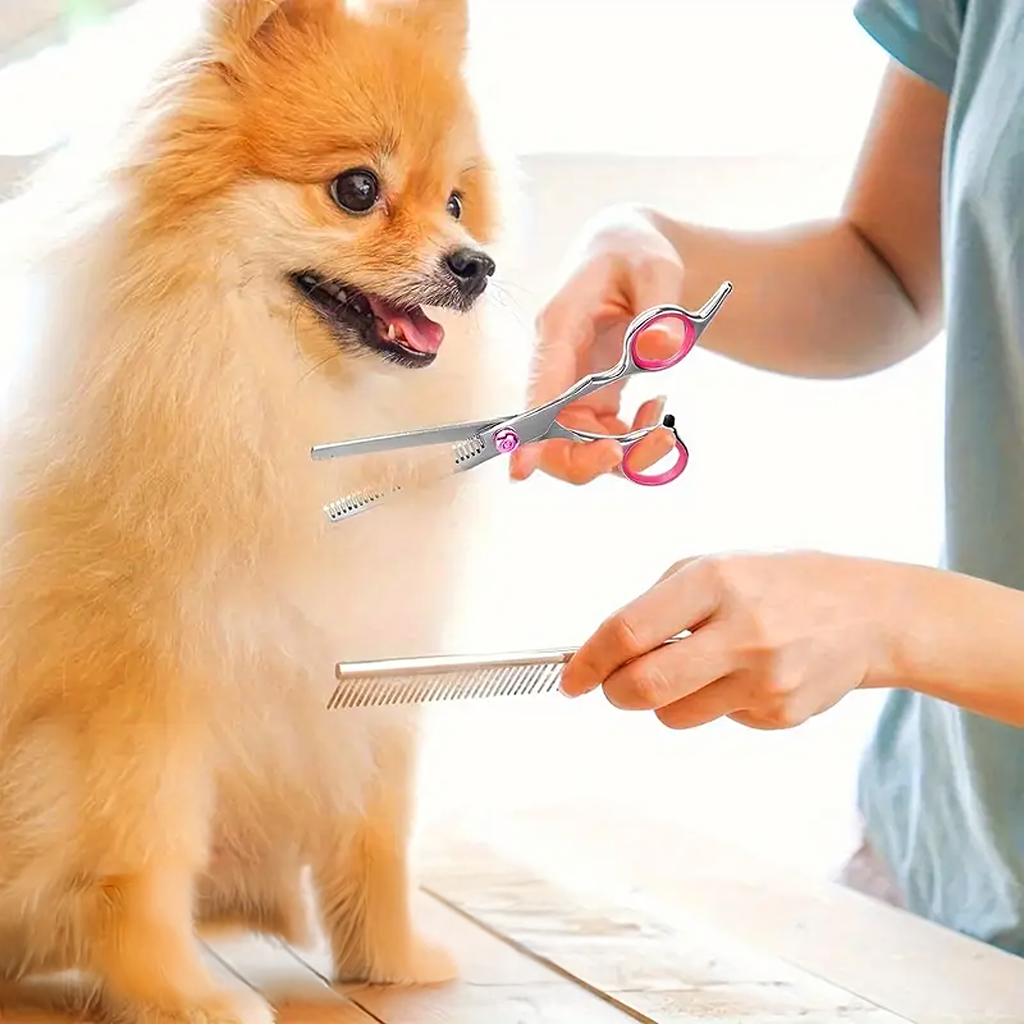 Professionaalsed loomade, koerte ja kasside lõikuskäärid, 4 tk komplekt, karbis
