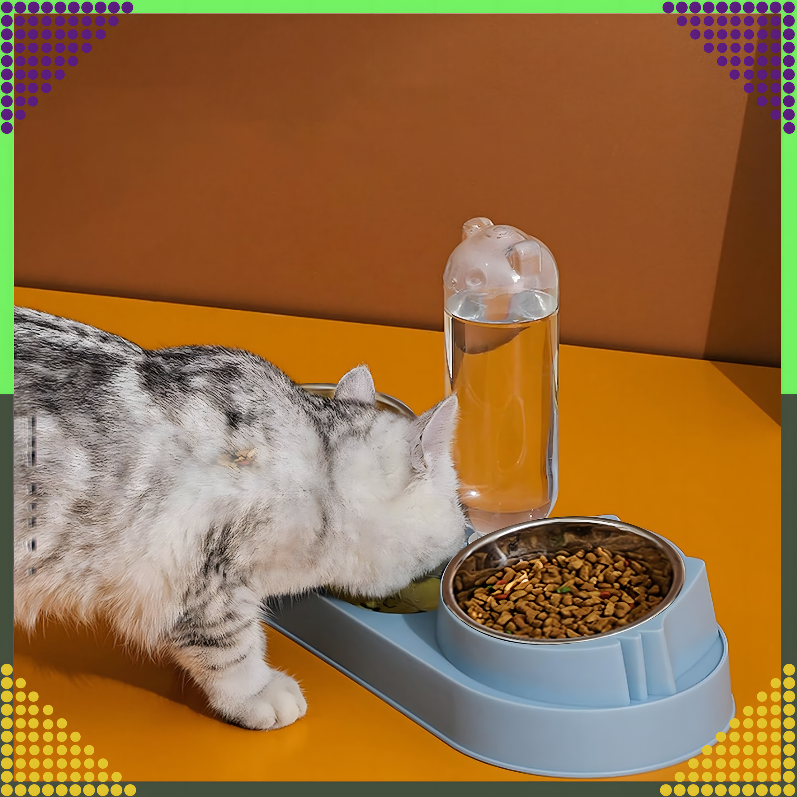 Kahe kausiga koera ja kassi vee- ning toidukauss veedosaatoriga