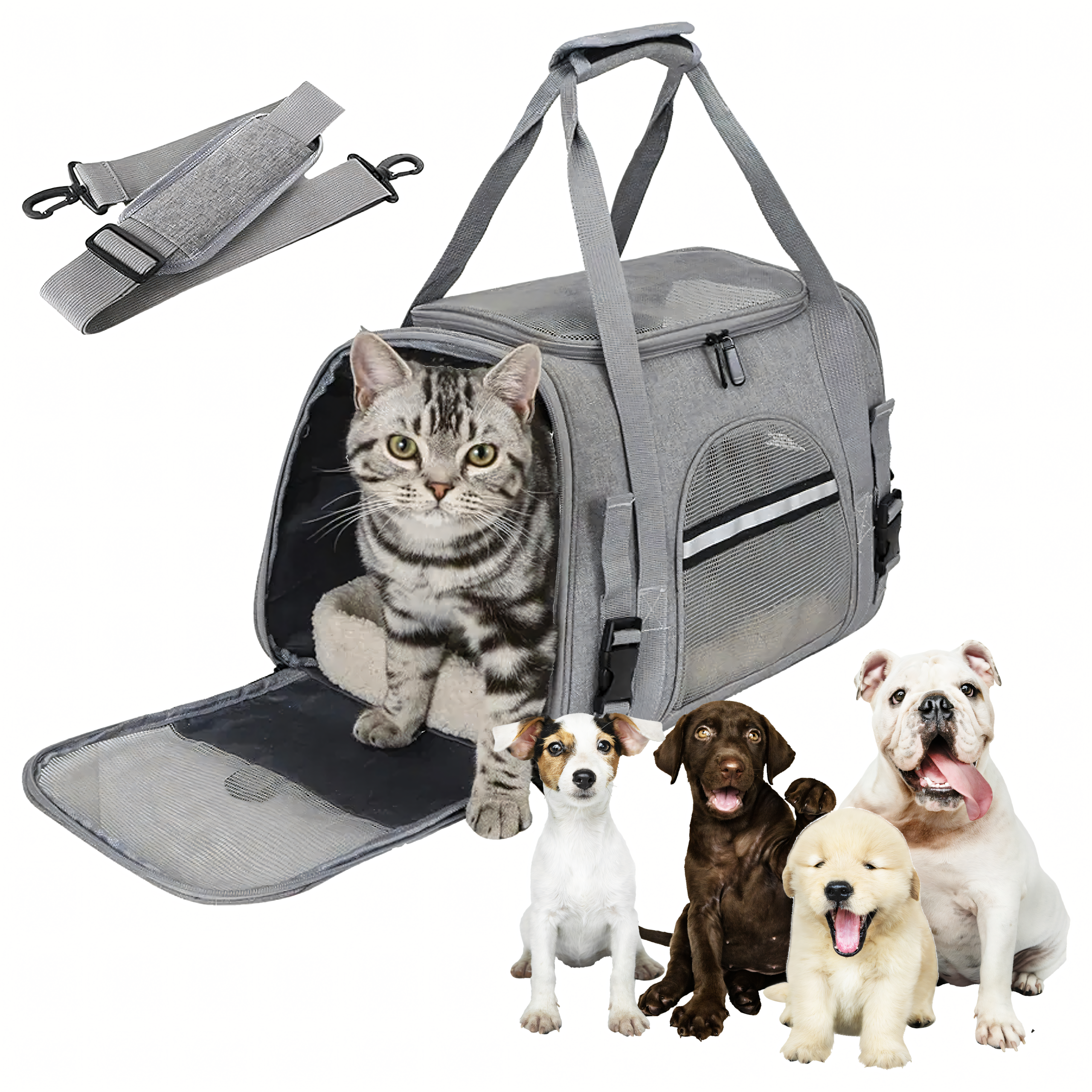 Suur transpordikott koera, kassi, jänese ja teiste loomade aedikule, autosse