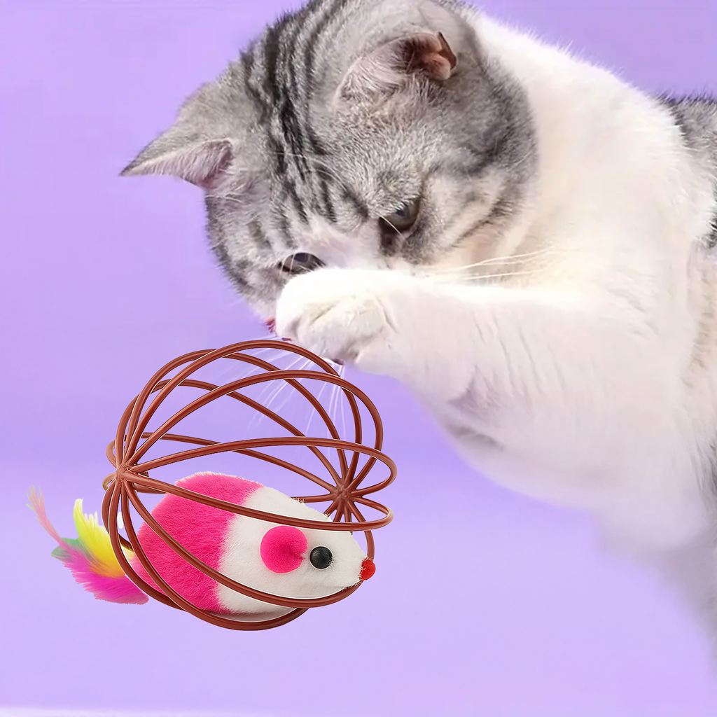 Interaktiivne mängupall kassile, hiire, sulgede, kõristi ja traadist palliga