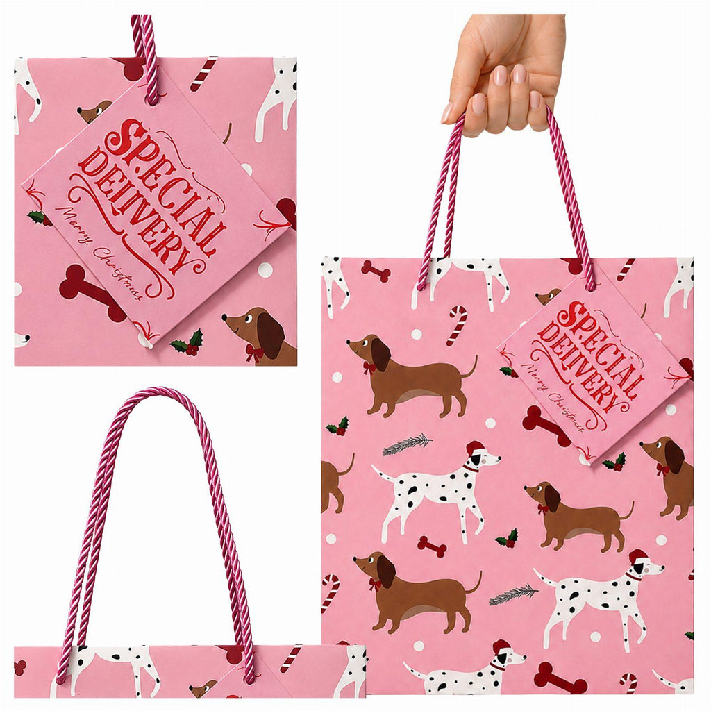 Christmas Gift Bag for Santa Presents under the Christmas Tree