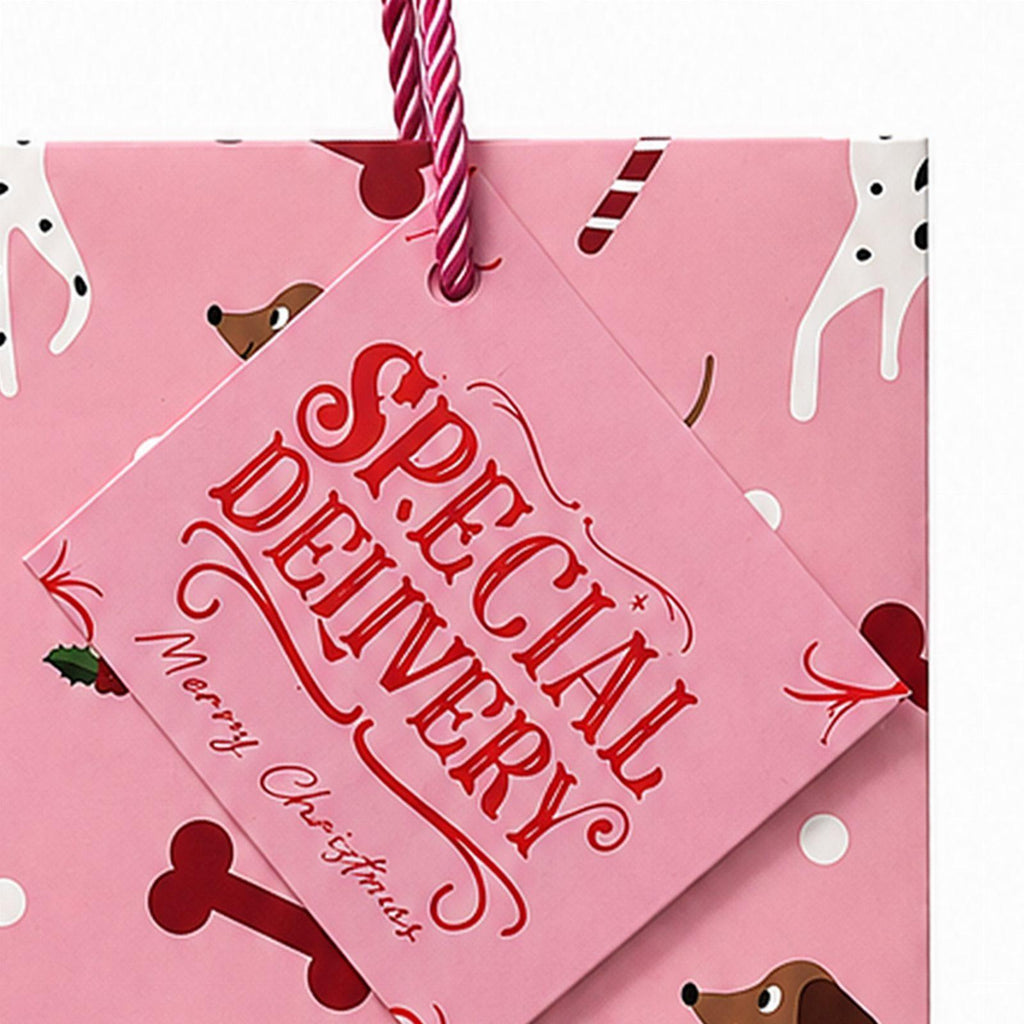Christmas Gift Bag for Santa Presents under the Christmas Tree